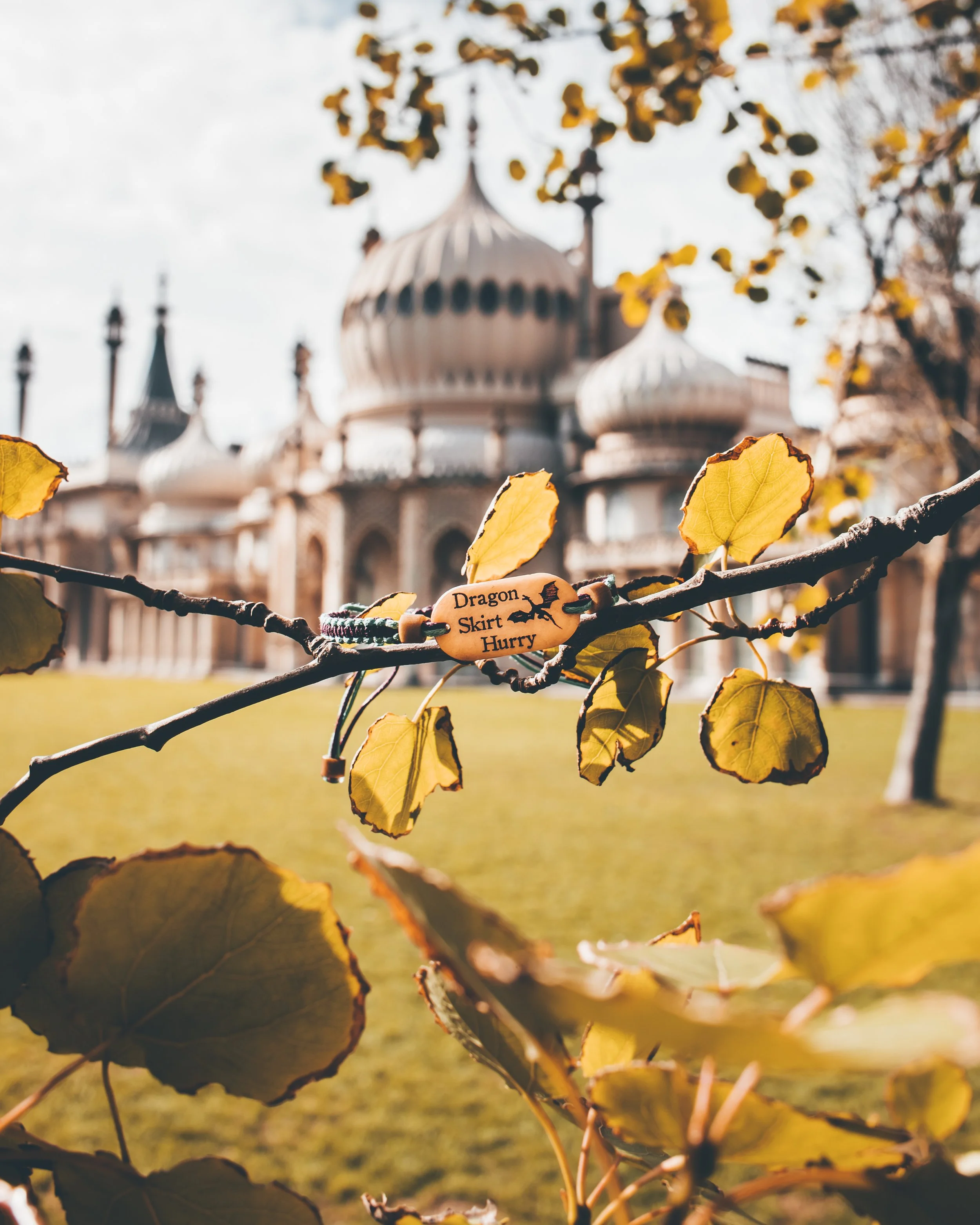 Dragon Skirt Hurry.jpg