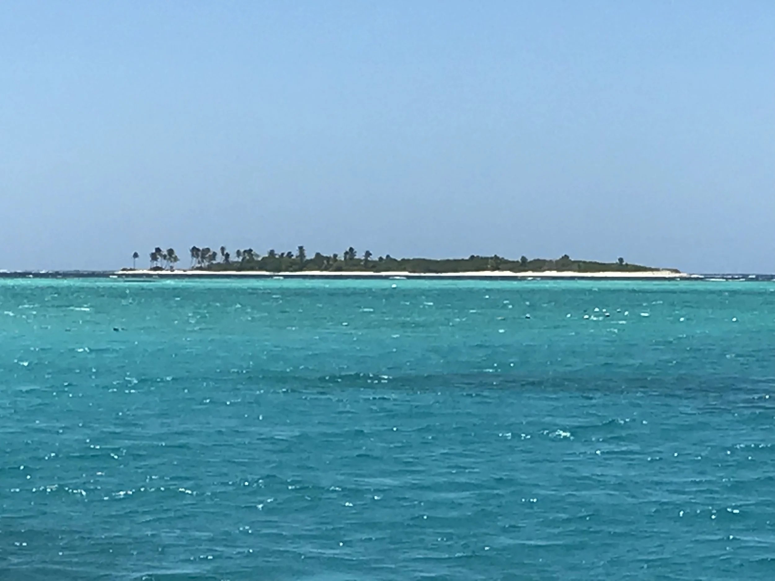 Petit Tabac, Tobago Cays 