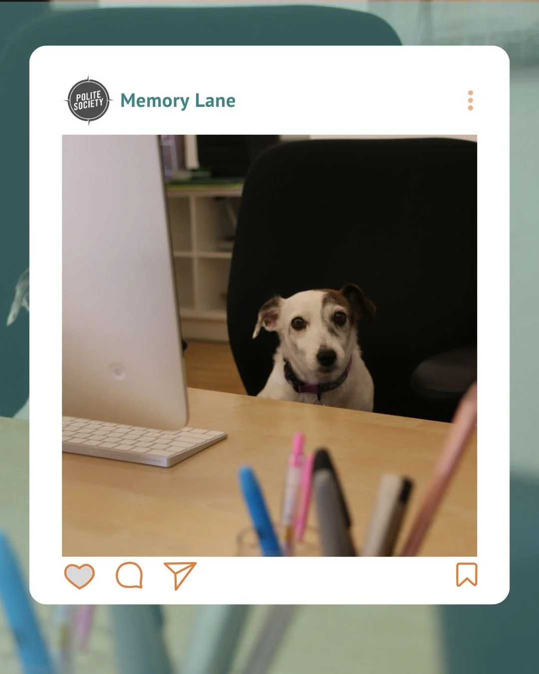 Taking a trip down memory lane and thinking about our office dog, Lola! She brought so much joy into our lives and we miss her so much!

Love you, Lola!