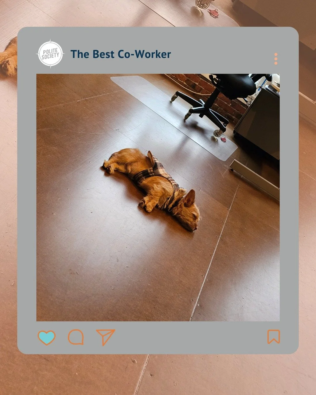 Looks like someone wore himself out with holiday excitement!