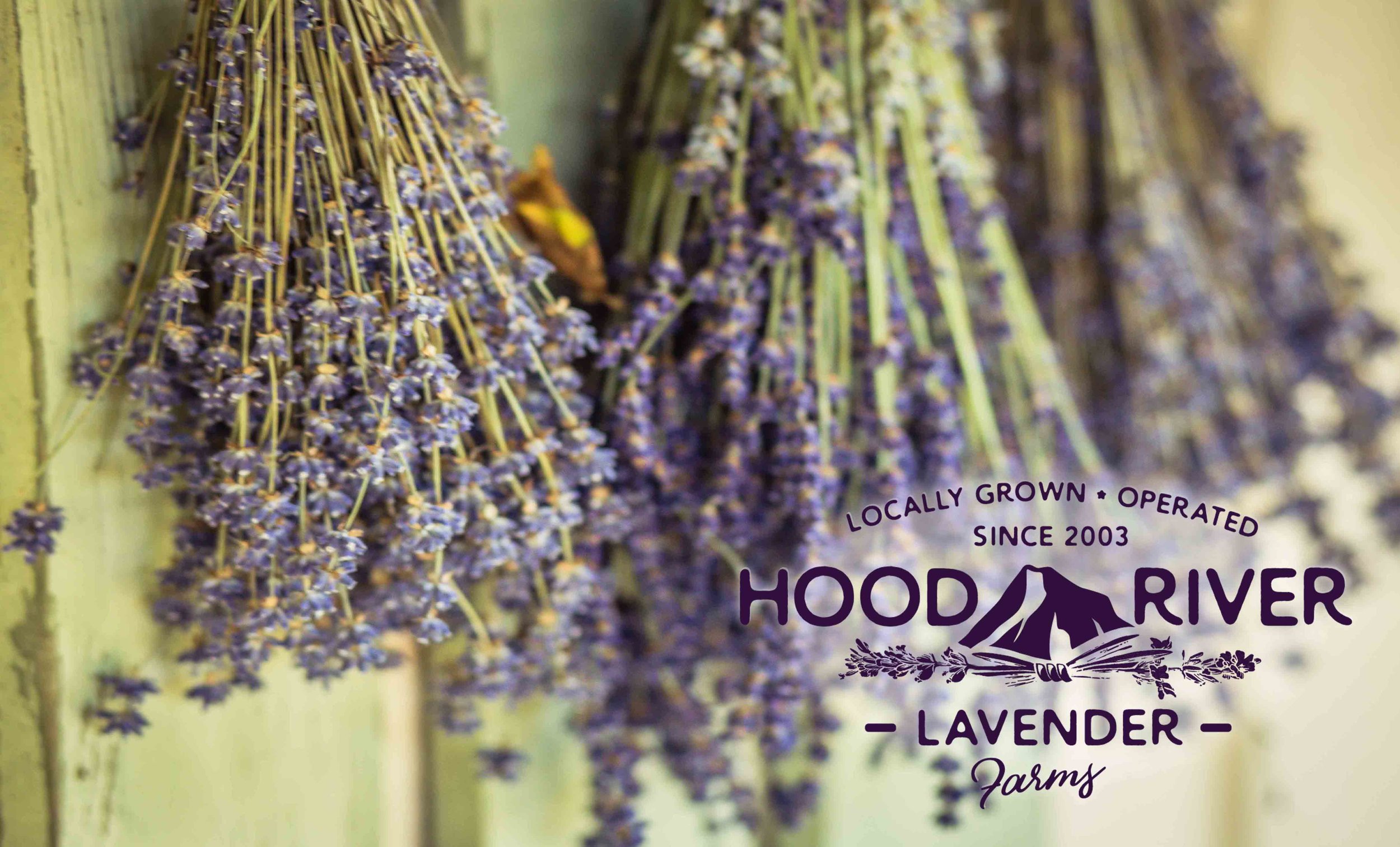 Hood River Lavender Farms 5 Columbia Gorge buy lavender online hood river odell portland pacific northwest pnw creams lavender_-3.jpg