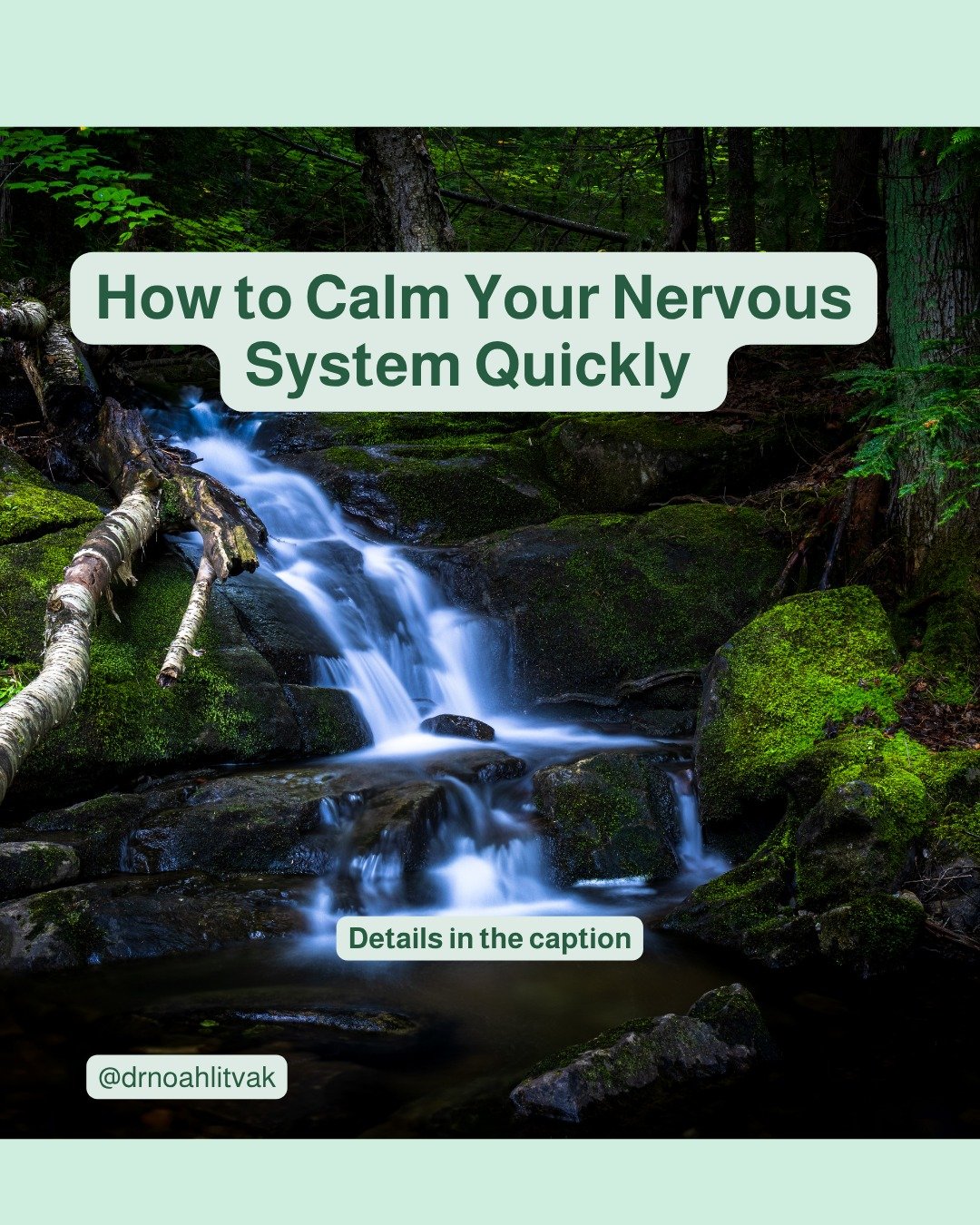 Feeling anxious, overwhelmed, or like you're on edge?

Try this evidence-supported breath technique: lengthen your exhale.

Here&rsquo;s how:
🔹 Inhale through your nose for ~4 seconds
🔹 Exhale slowly through your mouth for 6&ndash;8 seconds
🔹 Repe