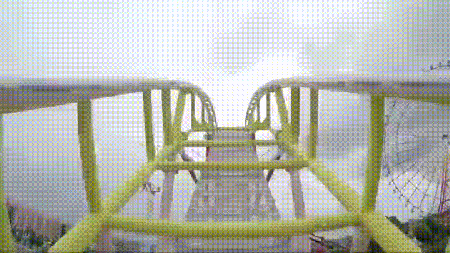 Managing Through Disruption