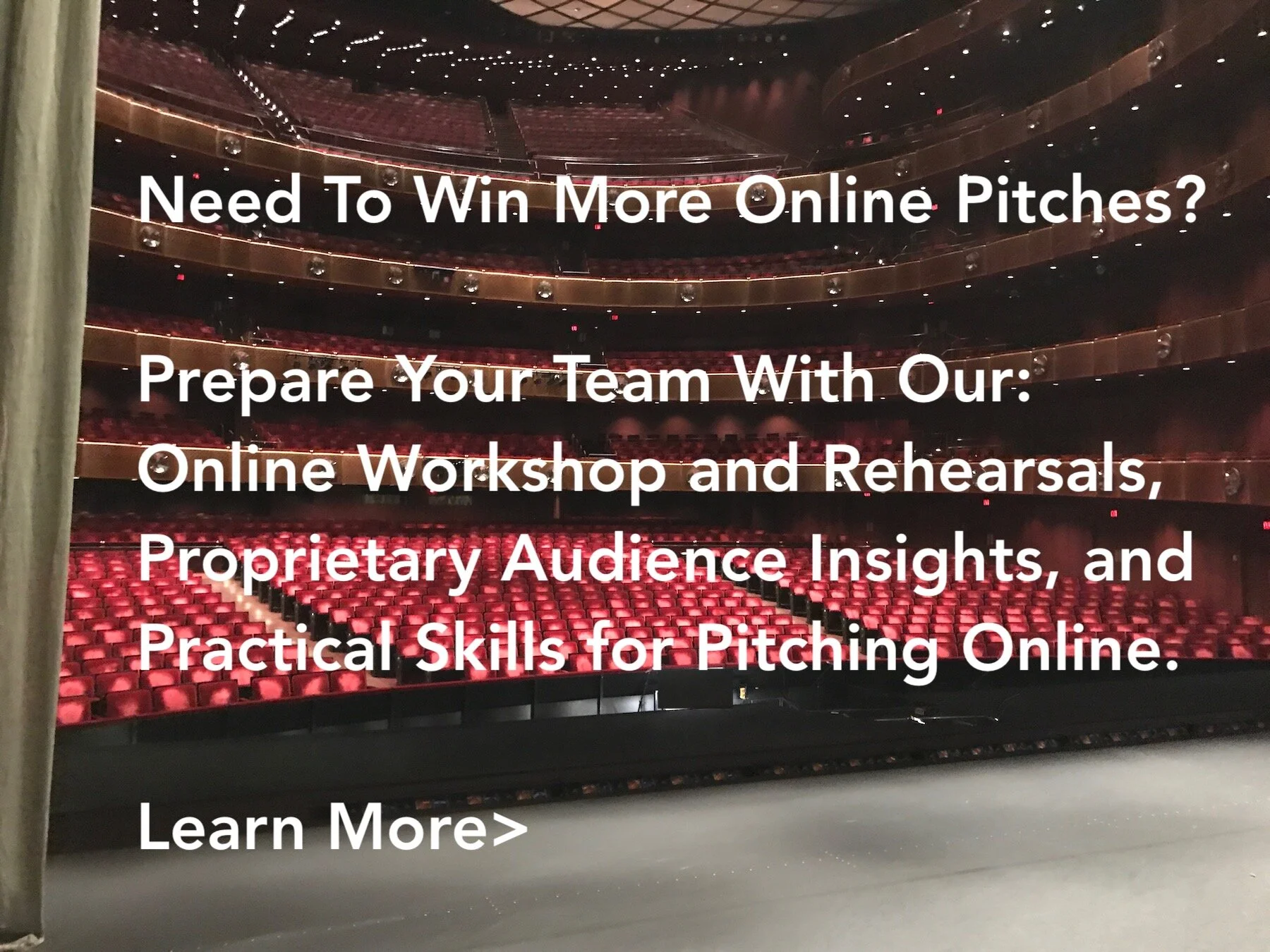 Minor Nobles Online Rehearsal.jpeg