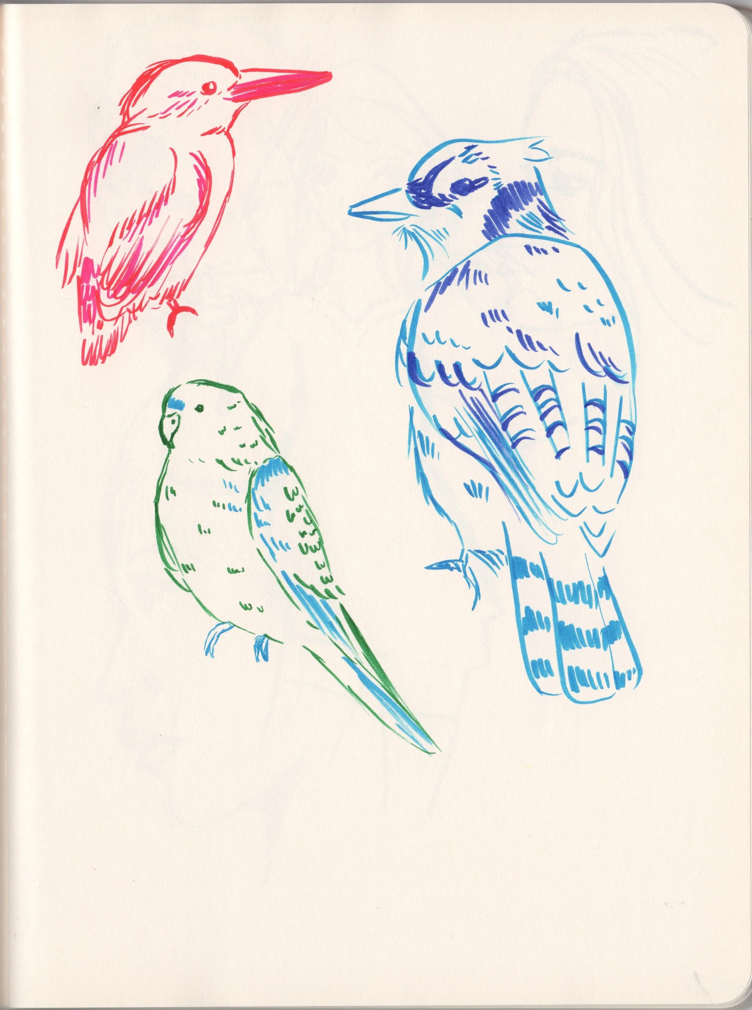 Scan 3.jpeg