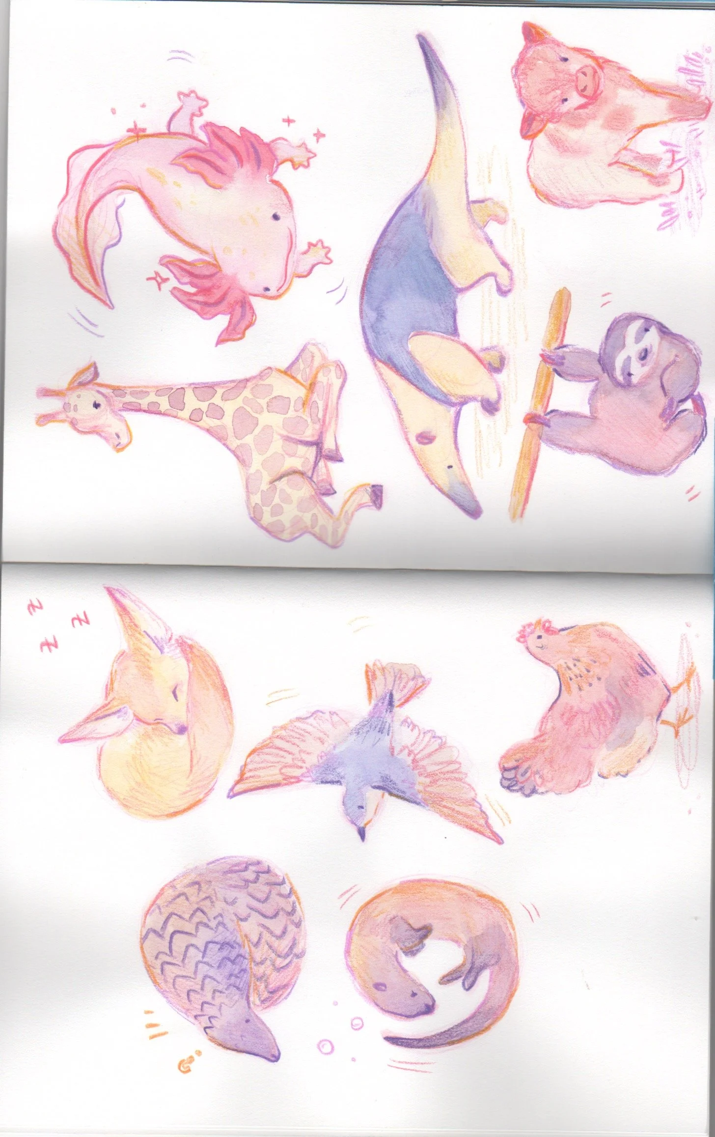 strathmore Mixed Media A 150dpi 10.jpeg