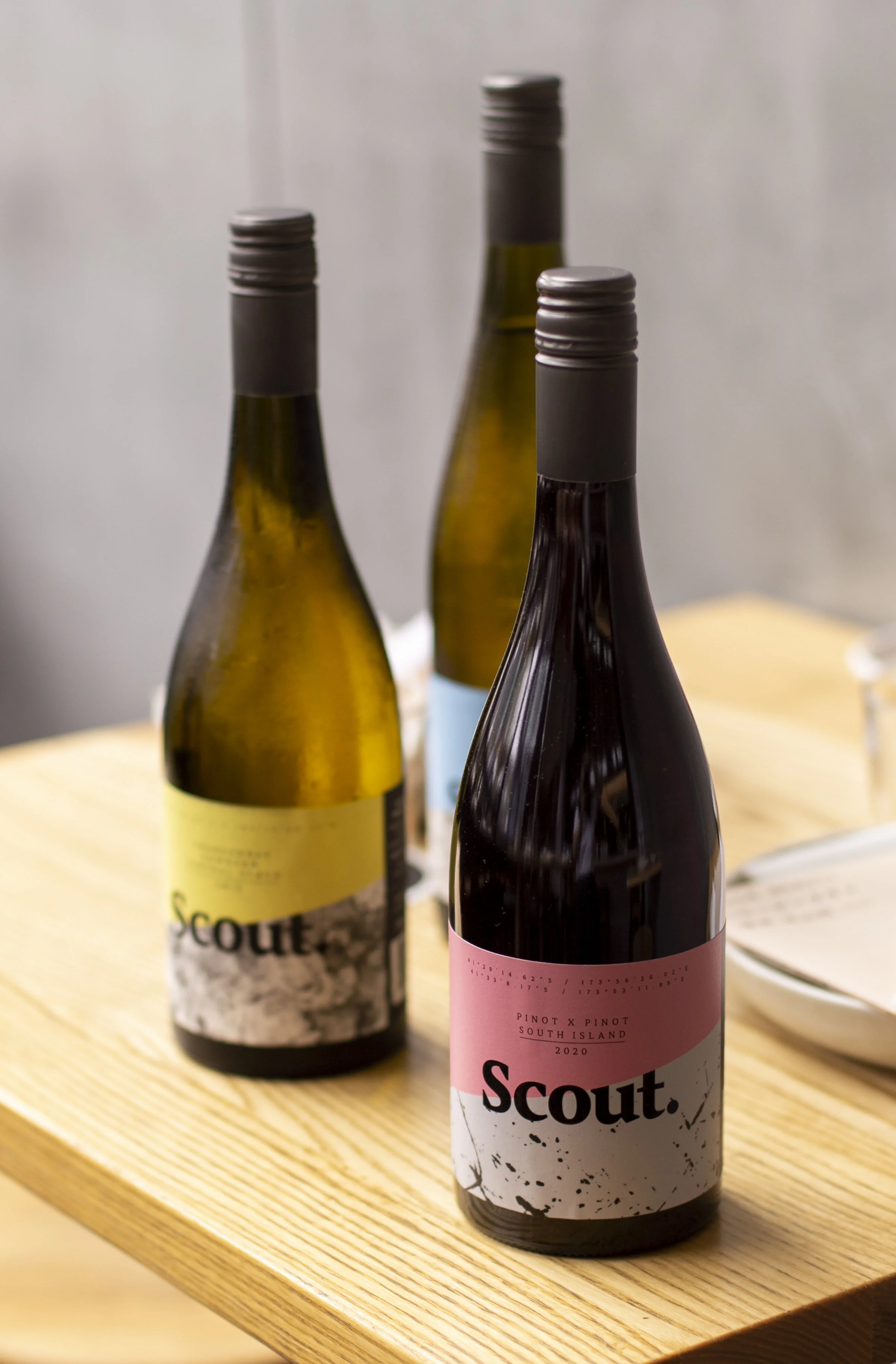 Producer Showcase: Scout Wine