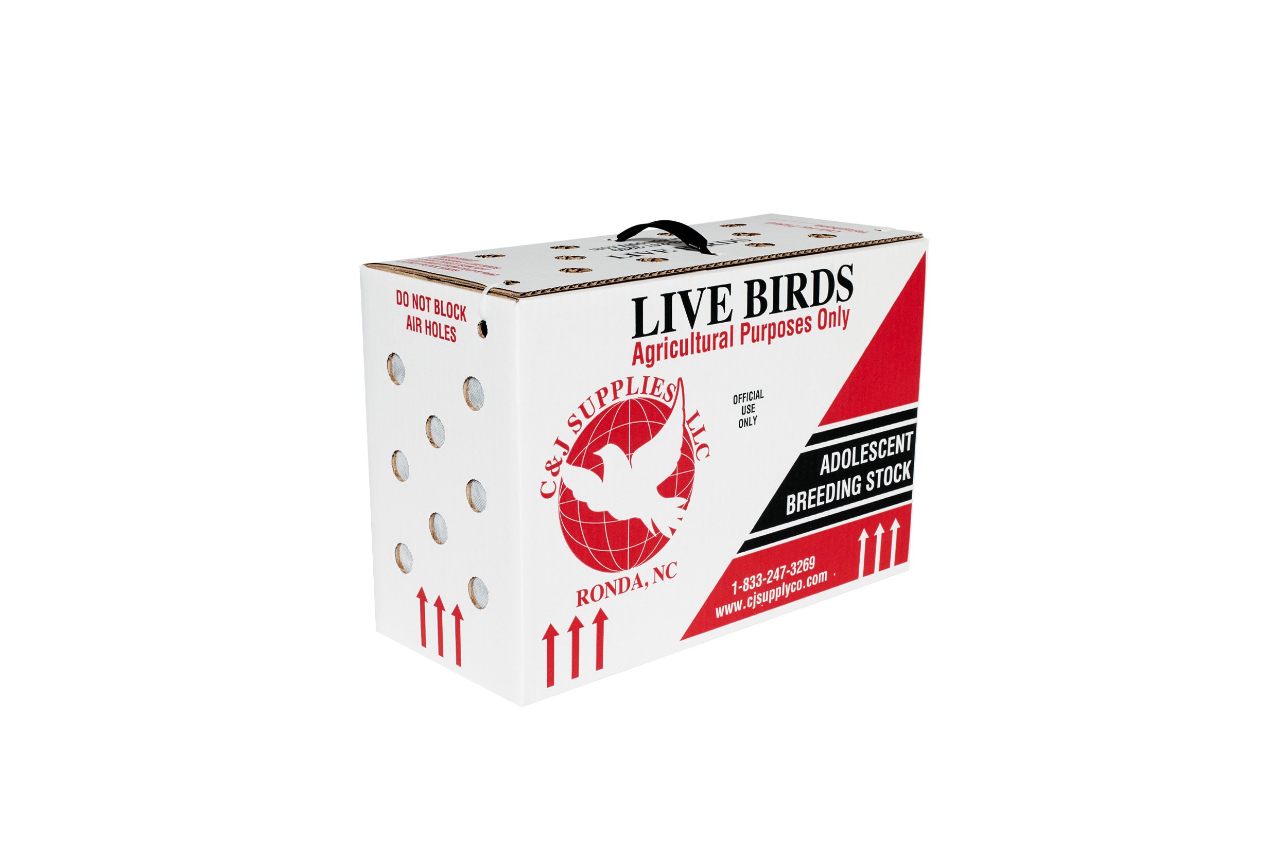 The Bird Box