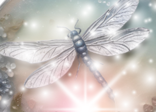 The Shimmer Shop.png