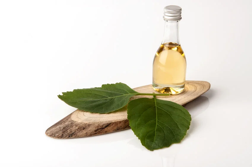 84331235_s Patchouli.jpg