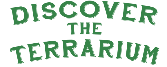 DiscoverTheTerrarium-green.png