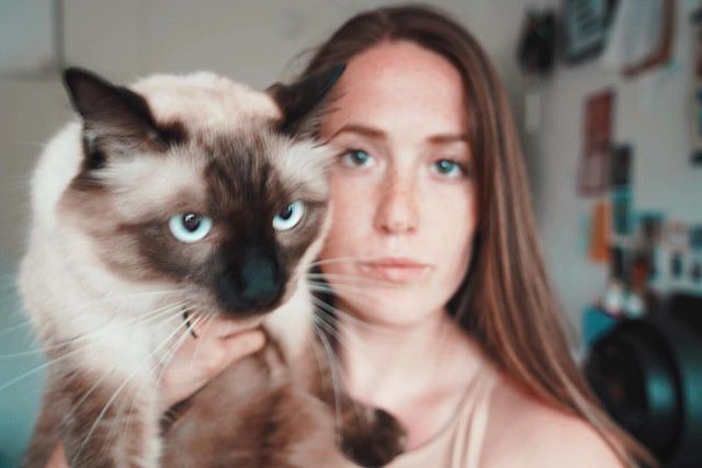 we&rsquo;re still troubleshooting the whole family portrait thing. hopefully will have it purrrfected by christmas. no guarantees. &mdash;&mdash;- 🎄 🐈 ✨
-
-
-
-
-
#catmom #christmasiscoming #siamese #balinese #bestbud #halfofthefamilyisstillinFlori