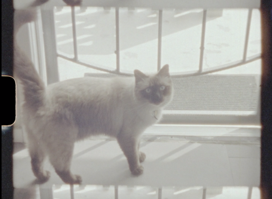 Screenshot 2018-11-24 19.18.25.png