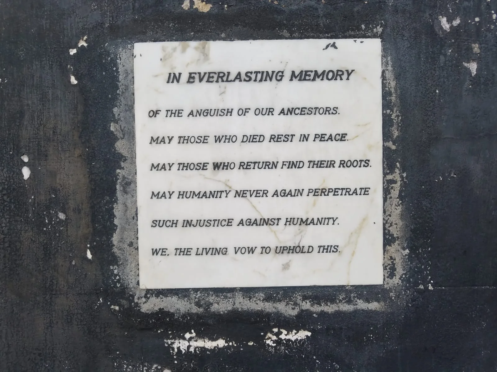 69A122C8-4CAD-480E-AEC1-7AC9987BC05A.jpeg