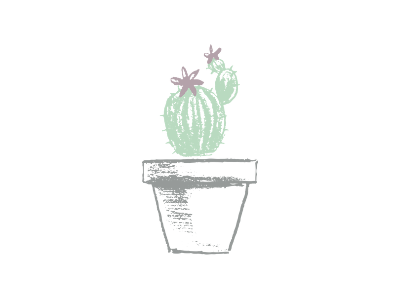 7.png