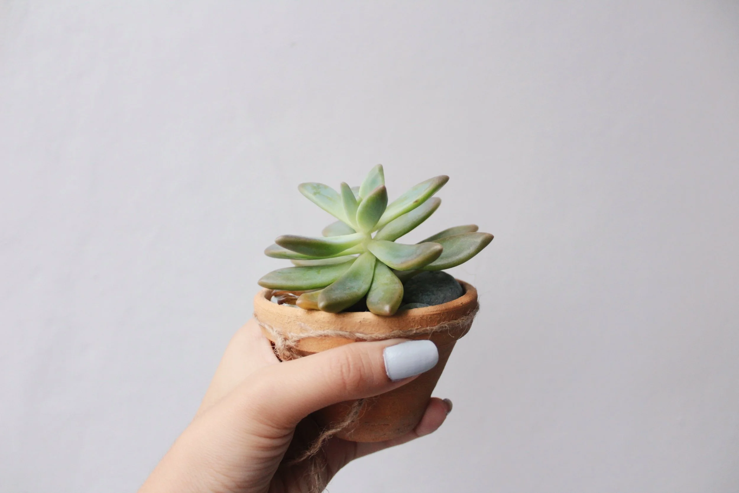 the faith to flourish blog