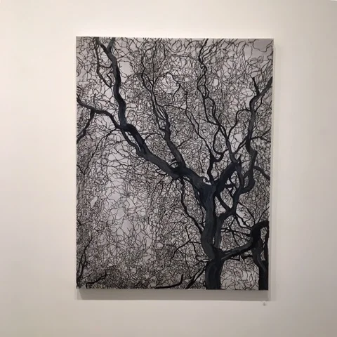 Michele Bryant IMG_4356.jpeg