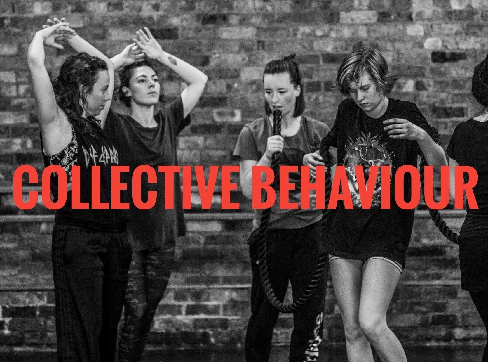 Collective Behaviour December