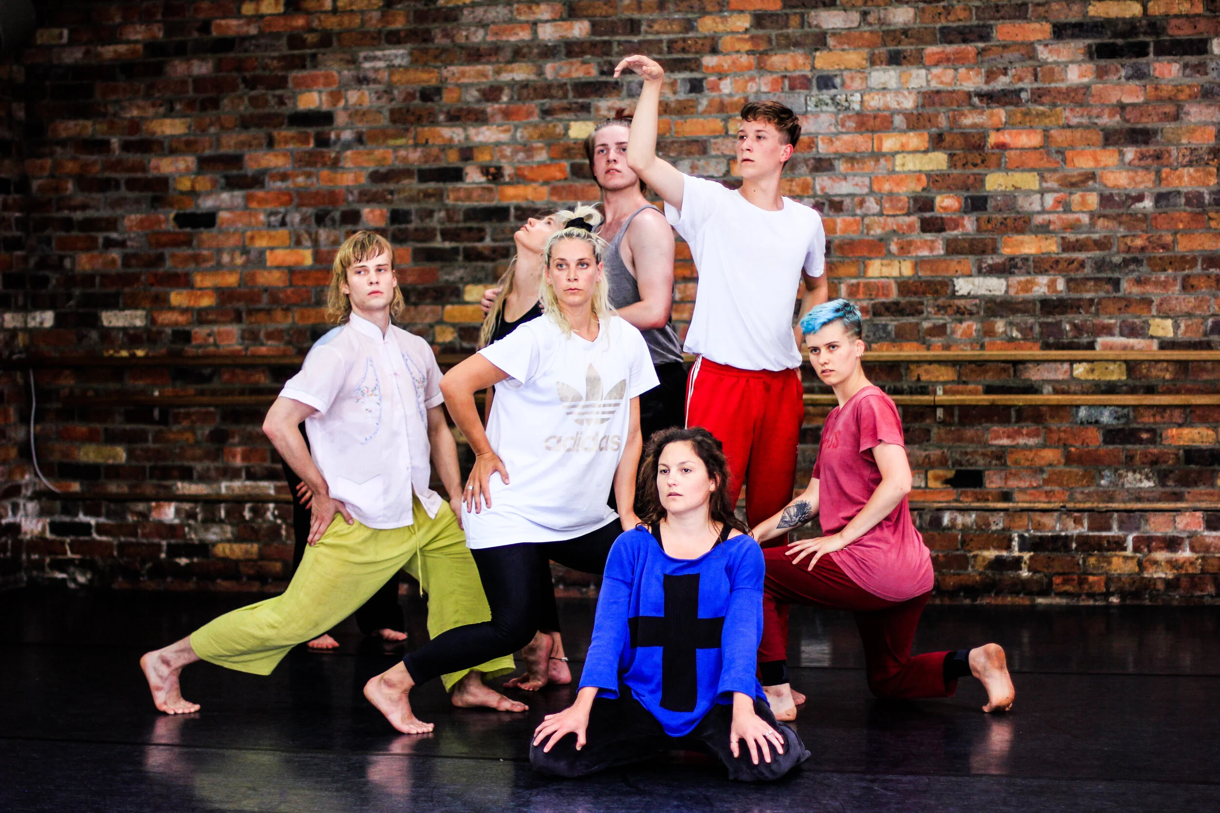 Collective Behaviour February