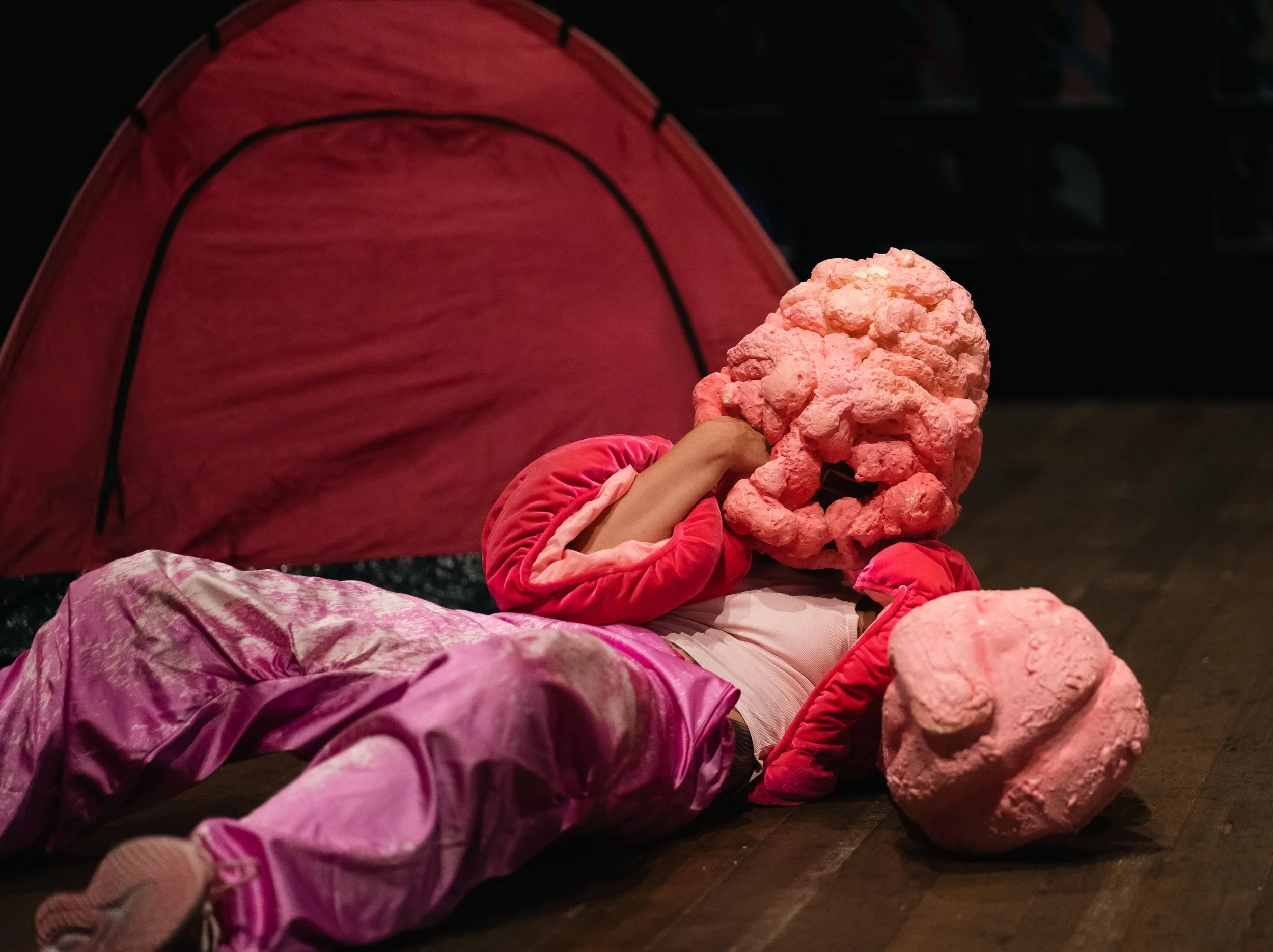 BABY GIRL LAUNCESTON + SYDNEY SHOWS