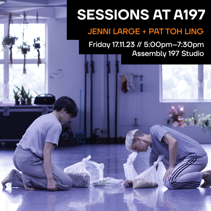 SESSIONS NOVEMBER - JENNI LARGE (TAS) + PAT TOH LING (SINGAPORE)