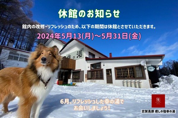 ℹ️幸の湯休館のお知らせ（5/13～）ℹ️

いつも幸の湯を応援してくださっている皆様へ。

幸の湯は、5月13日から館内の改修・リフレッシュ✨のため、
お休みをいただくことになりました。

お休みの予定は５月中の予定ですが
改修工事の状況によっては６月までかかるかもしれません&hellip;
このため、Web予約はいったんストップさせていただいております。
もし、６月に幸の湯に行こうかな&hellip;？
とご検討くださっている場合は、
幸の湯まで直接お電話でご連絡をお願いいたします🙇

オ