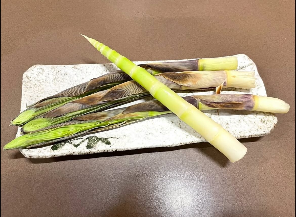 これぞ、知る人ぞ知る絶品食材の『根曲がり竹』
豪快に焼き上げました‼️

皮ごと焼いて、手でむいて&hellip;
香り、食感、甘み、すべてが別格🤤💗

焼きタケノコ、正直びっくりするほど美味しいです✨
今しか味わえない旬の味、ぜひ体験してください☺️

※幸の湯では根曲がり竹のお食事を楽しめます。
詳しくは幸の湯までお問い合わせ下さい。
＝＝＝＝＝＝＝＝＝＝＝＝
@sachinoyu
志賀高原 癒しの宿幸の湯
長野県下高井郡山ノ内町志賀高原平床
Tel.0269-34-2902
＝＝＝＝＝