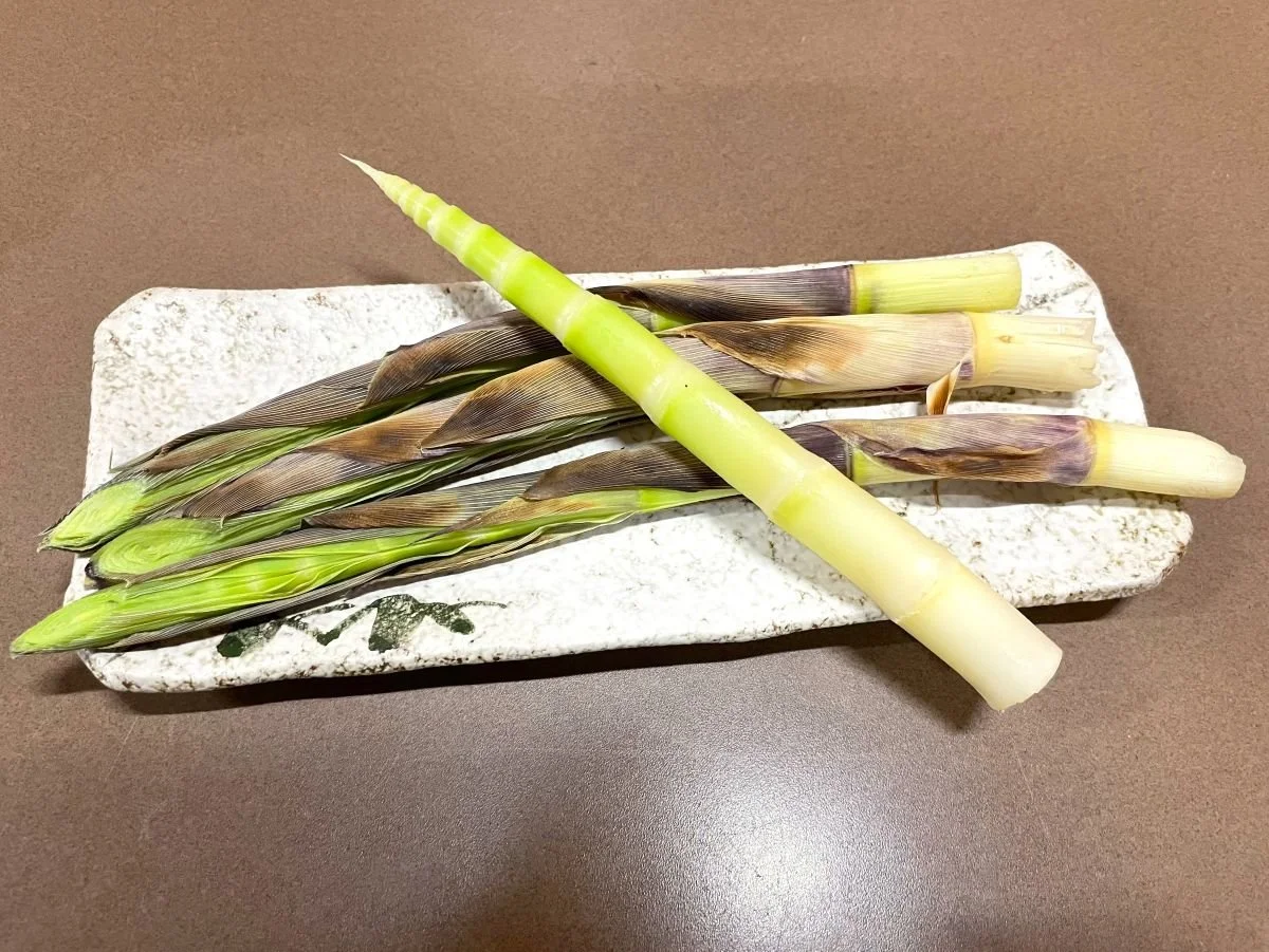 焼きタケノコ2.jpg