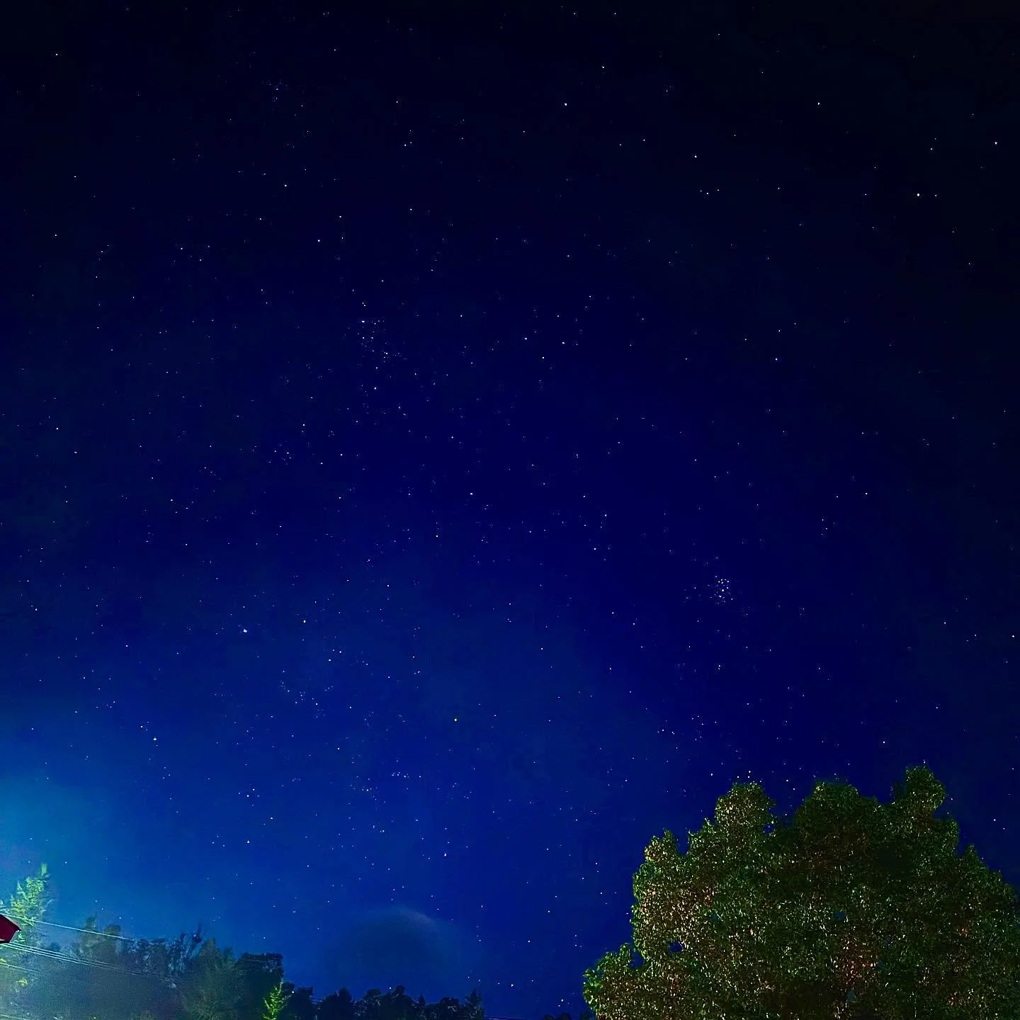 🍂秋の志賀高原は、昼と夜、どちらの景色も格別✨
昼は紅葉ハイク、夜は満天の星空を！！
空気が澄むこの季節、星々がひときわ輝きを増します。

秋の星空観賞のあとは、宿でぬくもりの時間を
おいしい食事と温かいお風呂をご用意してお待ちしております☺️

＝＝＝＝＝＝＝＝＝＝＝＝
@sachinoyu
志賀高原 癒しの宿幸の湯
長野県下高井郡山ノ内町志賀高原平床
Tel.0269-34-2902
＝＝＝＝＝＝＝＝＝＝＝＝

#癒しの宿幸の湯
 #幸の湯 #sachinoyu #sachinoyuhot