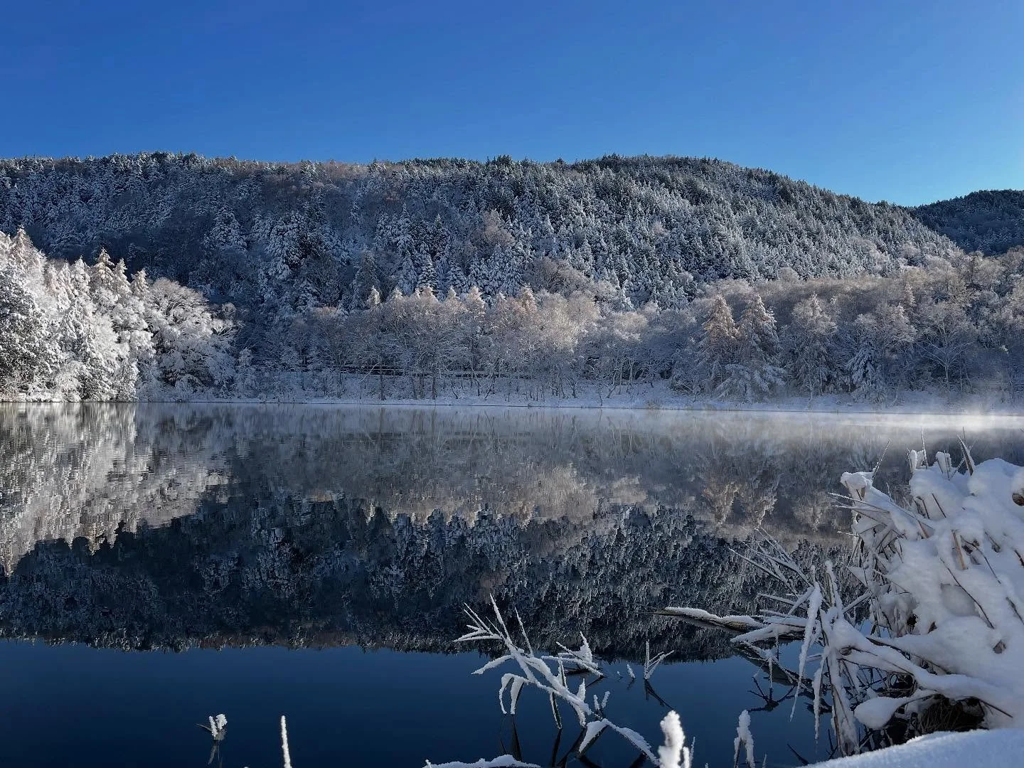 📍木戸池　　幸の湯から車で約2分🚗

静かな水面に、
雪化粧した木々が映り込んでいます❄️

ところどころ池からけむりが立ちのぼっていて
幻想的な瞬間☁️✨

冬の始まりを感じる、心が澄むような景色です。

＝＝＝＝＝＝＝＝＝＝＝＝
@sachinoyu
志賀高原 癒しの宿幸の湯
長野県下高井郡山ノ内町志賀高原平床
Tel.0269-34-2902
＝＝＝＝＝＝＝＝＝＝＝＝

#癒しの宿幸の湯
 #幸の湯 #sachinoyu #sachinoyuhotel 
#故郷のない方いらっしゃい #