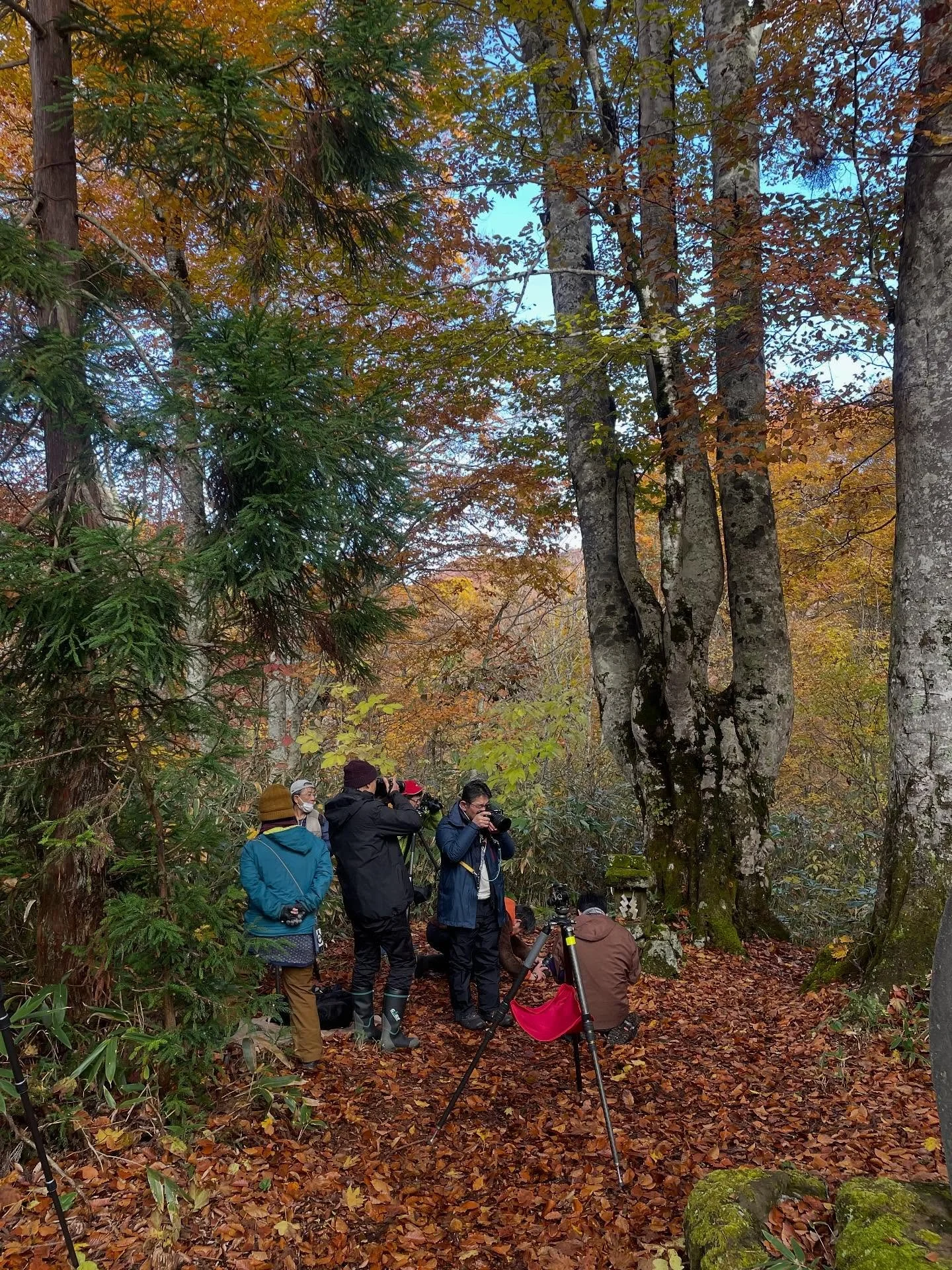 📷風景写真家・栄馬智太郎さんと行く
大人のフォト合宿✨
「色彩鮮やかな大自然の芸術を堪能」をテーマに
晩秋の撮影合宿を開催いたしました😌🍁

今回は、紅葉に加えて雪も降り、
まさに季節の移ろいを感じる絶好の撮影日和📷✨

参加者の皆さまは笑顔で、
和やかな雰囲気の中で撮影を楽しまれていました😌❤️

＝＝＝＝＝＝＝＝＝＝＝＝
@sachinoyu
志賀高原 癒しの宿幸の湯
長野県下高井郡山ノ内町志賀高原平床
Tel.0269-34-2902
＝＝＝＝＝＝＝＝＝＝＝＝

#癒しの宿幸の湯