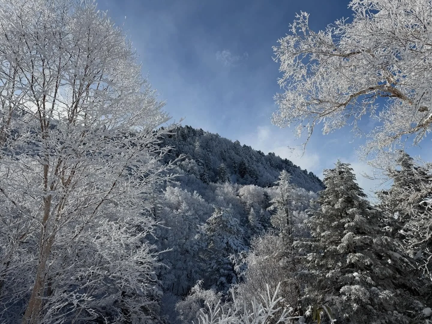 幸の湯周辺の様子
天気がいい日は、散策もとっても楽しいです😀

木々にふんわりと付いた雪が、
キラキラしていて本当に素敵✨
思わず足を止めて眺めたくなります❄️

本日から雪の予報が出ています。
お出かけの際は、どうぞご安全に🚗

皆さまのお越しをお待ちしております☺️

＝＝＝＝＝＝＝＝＝＝＝＝
@sachinoyu
志賀高原 癒しの宿幸の湯
長野県下高井郡山ノ内町志賀高原平床
Tel.0269-34-2902
＝＝＝＝＝＝＝＝＝＝＝＝

#shigakogen
#志賀高原
#志賀高原散歩