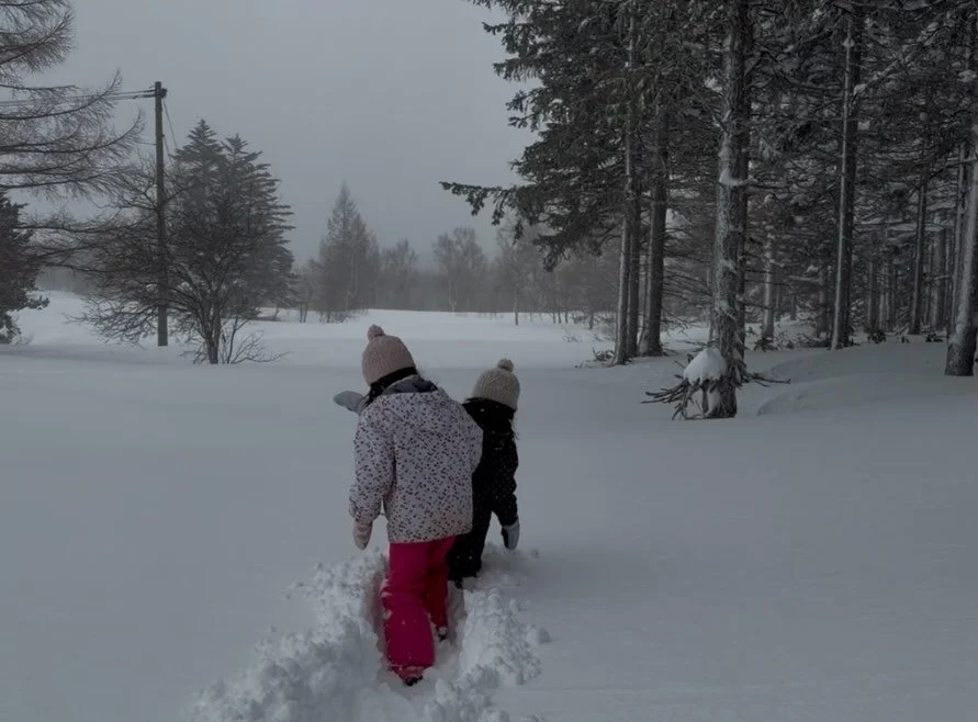 約40cmの雪景色❄️
ふわふわの新雪に包まれた朝。

積もった雪の中を、
元気いっぱいの子どもたちが一歩一歩&hellip;。
「ハートになるように歩いたよ♡」
そんな可愛い報告に、こちらまでほっこり☺️

冬だけの特別な景色と、心があたたまる瞬間。
この季節ならではの思い出が、またひとつ増えました⛄️💙

＝＝＝＝＝＝＝＝＝＝＝＝
@sachinoyu
志賀高原 癒しの宿幸の湯
長野県下高井郡山ノ内町志賀高原平床
Tel.0269-34-2902
＝＝＝＝＝＝＝＝＝＝＝＝

#志賀高原
 