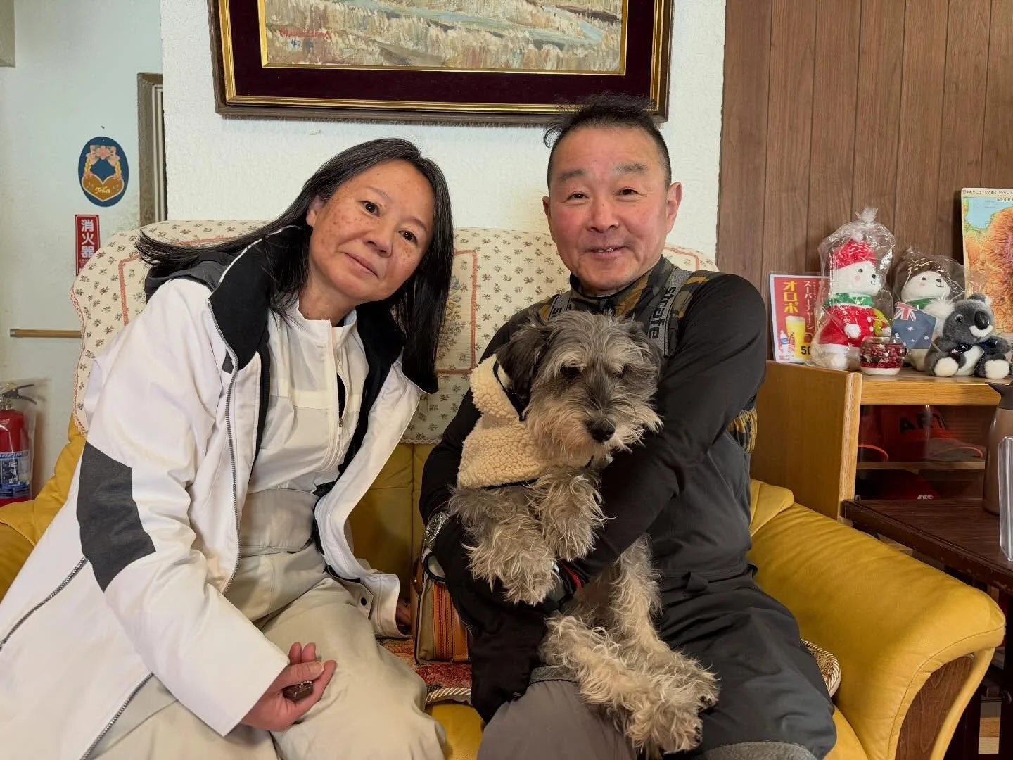 可愛いワンちゃん🐶
みーちゃんが志賀高原に遊びに来てくれました☺️✨

なんと18歳✨
3月には19歳になるそうです。

一緒にスキーをして、
雪の感触を感じながら、ゆっくりゆっくり。
雪山は年齢なんて関係ないですね❄️

また元気に遊びに来てね。
幸の湯で待ってます☺️

ニニニニニニニニニニニニニニニニニニニニ
@sachinoyu
志賀高原 癒しの宿幸の湯
長野県下高井郡山ノ内町志賀高原平床
Tel.0269-34-2902
二二二二二二二二二二ニニニニニニニニニニ
#志賀高原
#犬が泊