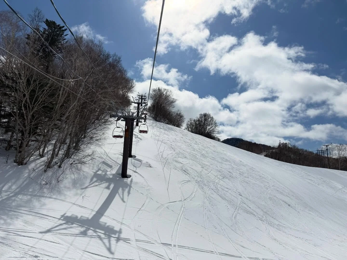 ⛷️志賀高原・蓮池スキー場のご紹介⛷️❄️

「蓮池スキー場」は、
志賀高原中央エリアに位置する落ち着いた雰囲気のスキー場です。
白樺林に囲まれた広くなだらかなゲレンデは、
初心者の方やファミリーにも人気で、
ゆったりと滑りを楽しめます🌿

また、丸池スキー場やジャイアントスキー場など
周辺エリアともつながっているため、
志賀高原の広大なゲレンデを巡る拠点としても便利です。

朝一番の澄んだ空気の中での滑走や、
雪景色の白樺林を眺めながらのんびり滑る時間は、
志賀高原ならではの魅力です。

ニ