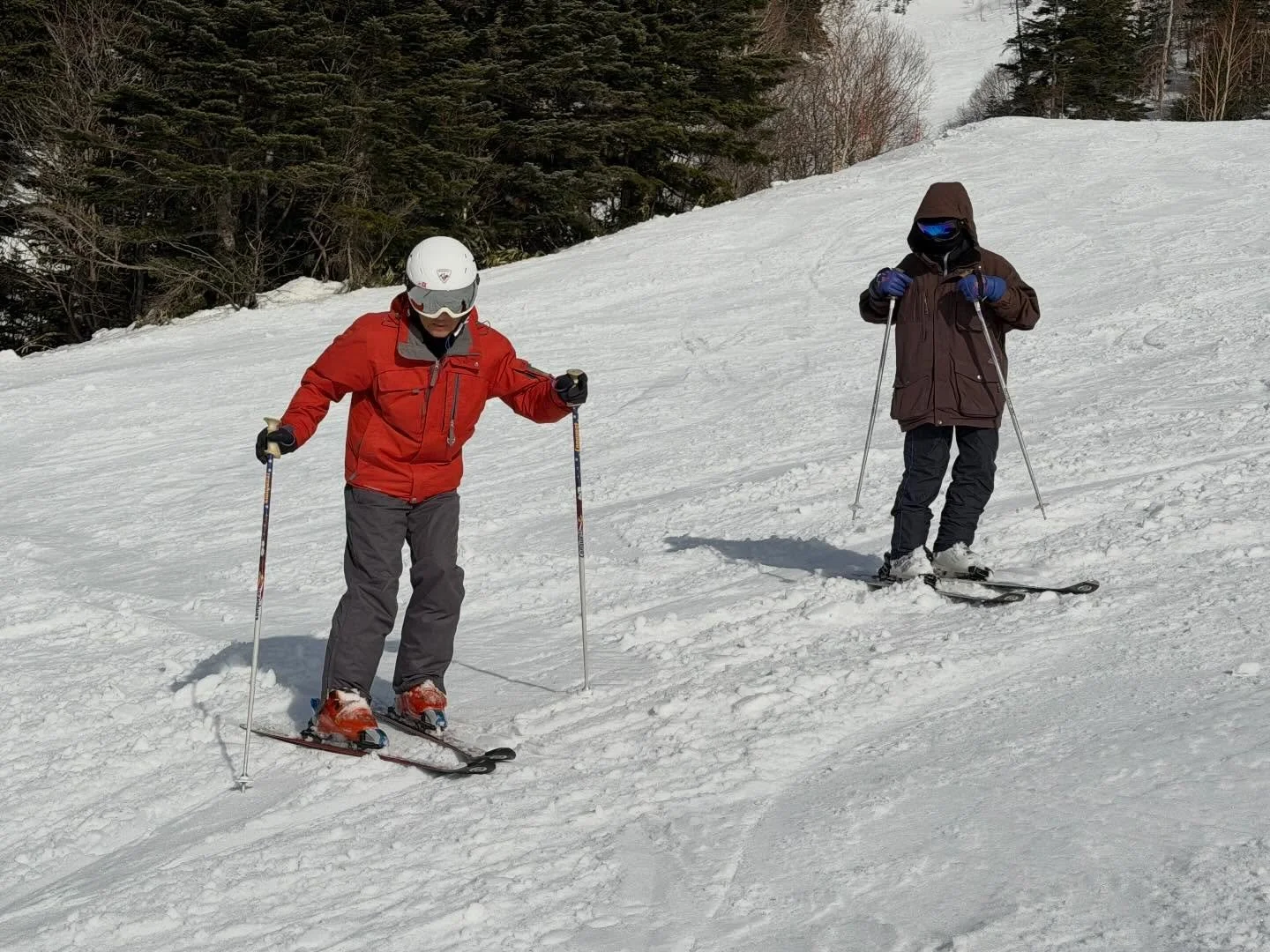 ⛷️志賀高原・幸の湯では、仕事も遊びも全力です✨ 

休憩時間にはスタッフ同士でゲレンデへ‼️
年齢や経験に関係なく一緒に滑り、教え合い、笑い合う。 
自然とスキルも上がって、
気づけばチームワークも抜群に👍

「せっかく志賀高原で働くなら、雪も楽しまないともったいない。」 
そんな想いを持った、
意識の高い仲間たちが集まっています☺️🤍

ニニニニニニニニニニニニニニニニニニニニ
@sachinoyu
志賀高原 癒しの宿幸の湯
長野県下高井郡山ノ内町志賀高原平床
Tel.0269-34-2