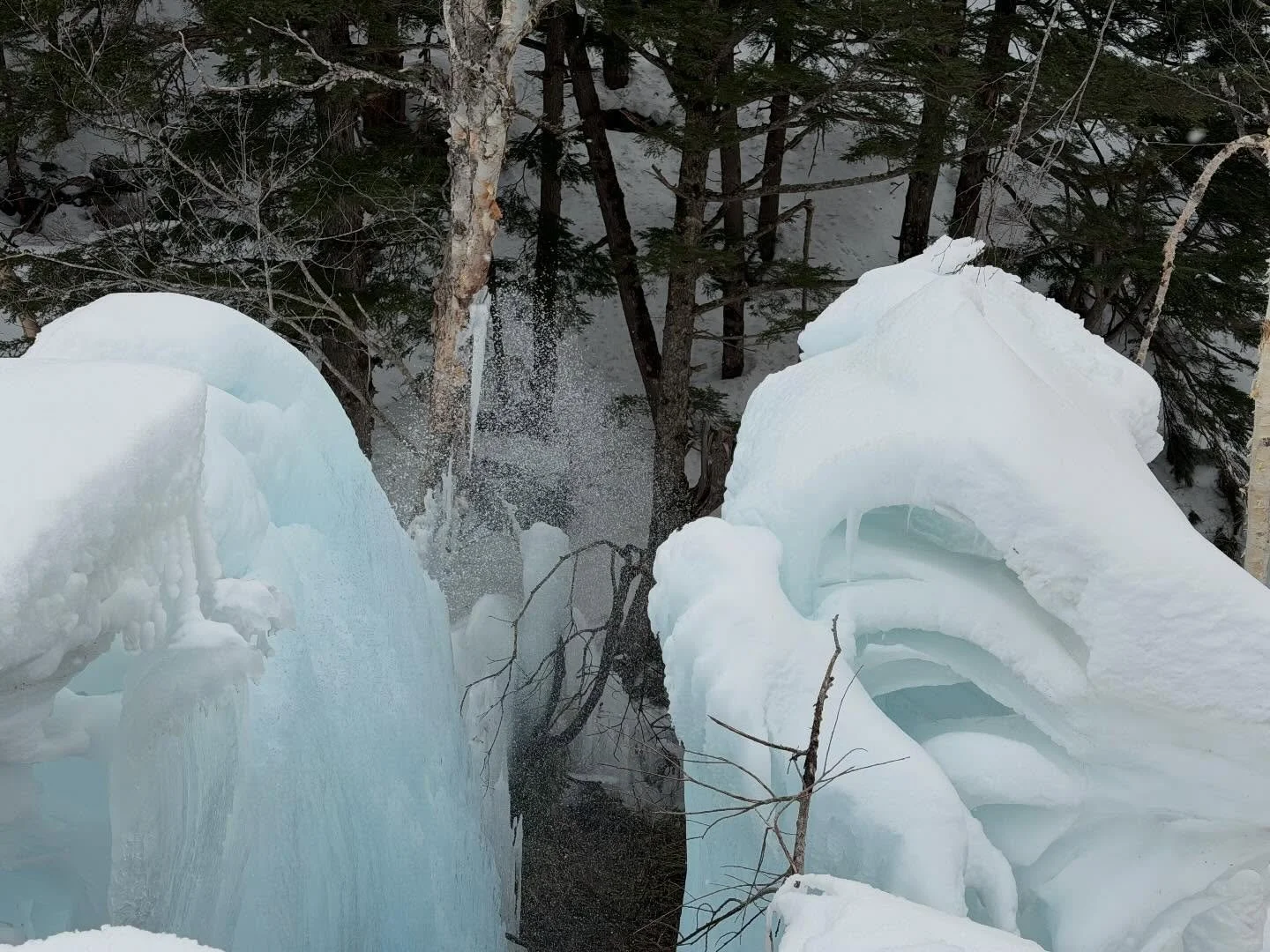 ❄️散策中に見つけた、
凍りついて生まれた神秘の景色✨

自然がつくり出すこの美しさに、
思わず足を止めてしまいました。
やっぱり自然ってすごい。

大切にしていきたい志賀高原の大自然✨

ニニニニニニニニニニニニニニニニニニニニ
@sachinoyu
志賀高原 癒しの宿幸の湯
長野県下高井郡山ノ内町志賀高原平床
Tel.0269-34-2902
二二二二二二二二二二ニニニニニニニニニニ

#志賀高原 #幸の湯 #自然の力 #冬景色 #氷の世界