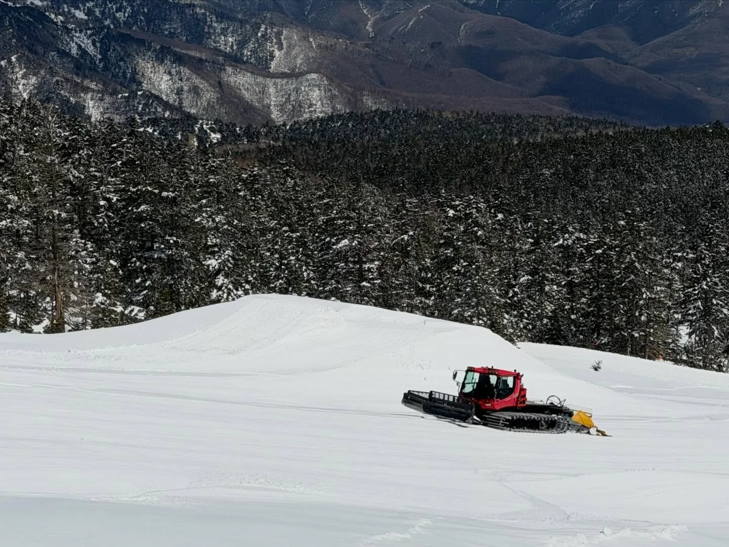 🌸春はパークが楽しい❄️
志賀高原・横手山／渋峠エリアに「渋峠スノーパーク」が
今年も登場です🏂⛷️

標高2,307m、
日本一高い場所にあるスキー場ならではの極上コンディションで、
春でもしっかり遊べるのが魅力です✨ 

パークには、ポコジャンや地形を活かしたウェーブなど、
初心者から中上級者まで楽しめるアイテムがバランスよく配置！ 
流しながら気持ちよく遊べるレイアウトで、
これからパークに挑戦したい方にもおすすめですね👍 

さらに晴れた日には、
北アルプスを望む絶景の中でライディ