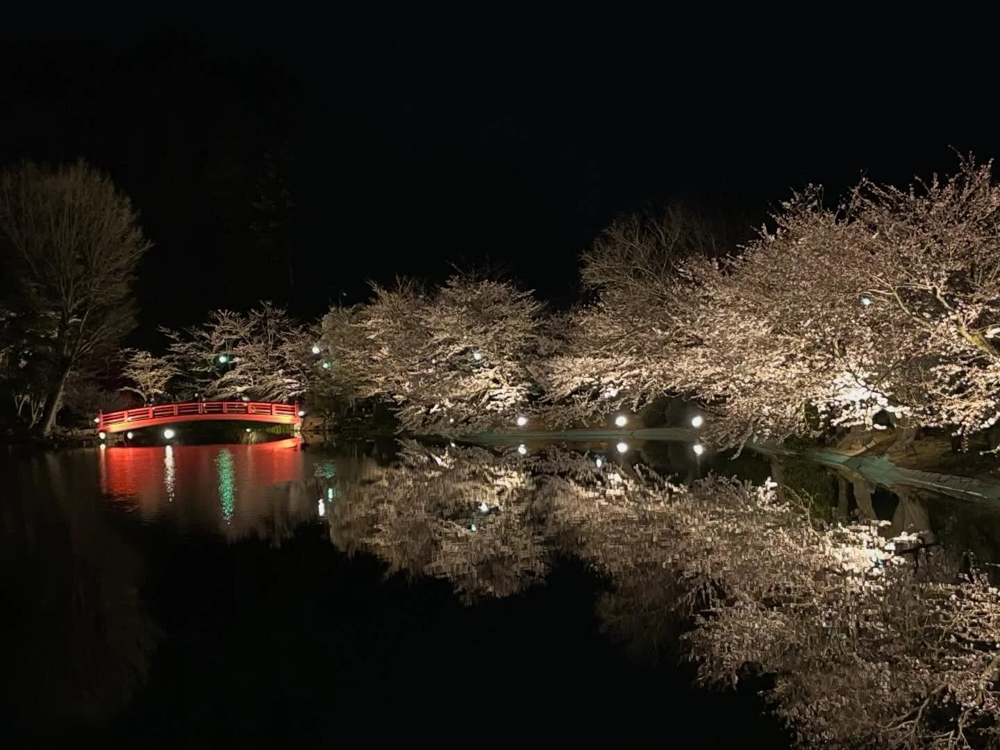 🌸須坂市にある臥竜公園は、
「さくら名所100選」にも選ばれた
信州屈指のお花見名所です。 

園内には約600本の桜が咲き誇り、
竜ヶ池の水面に映る桜はまさに絶景。
昼はのんびり散策、夜は幻想的なライトアップと、
時間によって異なる表情を楽しめます☺️

幸の湯から車で約１時間🚗

ニニニニニニニニニニニニニニニニニニニニ
@sachinoyu
志賀高原 癒しの宿幸の湯
長野県下高井郡山ノ内町志賀高原平床
Tel.0269-34-2902
二二二二二二二二二二ニニニニニニニニニニ
#志賀高