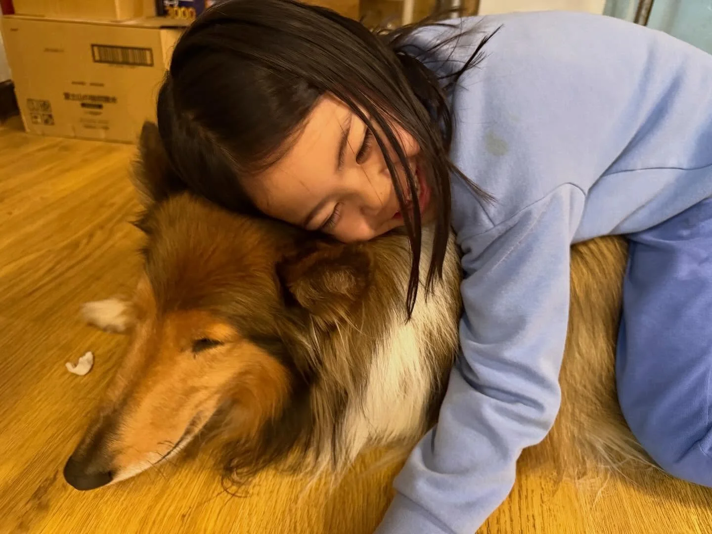 ✨サチクンの癒しタイム✨
今日もサチクンにギュー💓💓と嬉しそうに
お客様が訪れてくれる、幸の湯。

最近はサチクンに会いに来てくれるお客様が増えて、
ますます大人気です‼️

毎日癒しの笑顔を届けてくれるサチクンに、
ぜひ会いに来てくださいね😊💕

ニニニニニニニニニニニニニニニニニニニニ
@sachinoyu
志賀高原 癒しの宿幸の湯
長野県下高井郡山ノ内町志賀高原平床
Tel.0269-34-2902
二二二二二二二二二二ニニニニニニニニニニ
#志賀高原
#看板犬のいる宿 
#shi