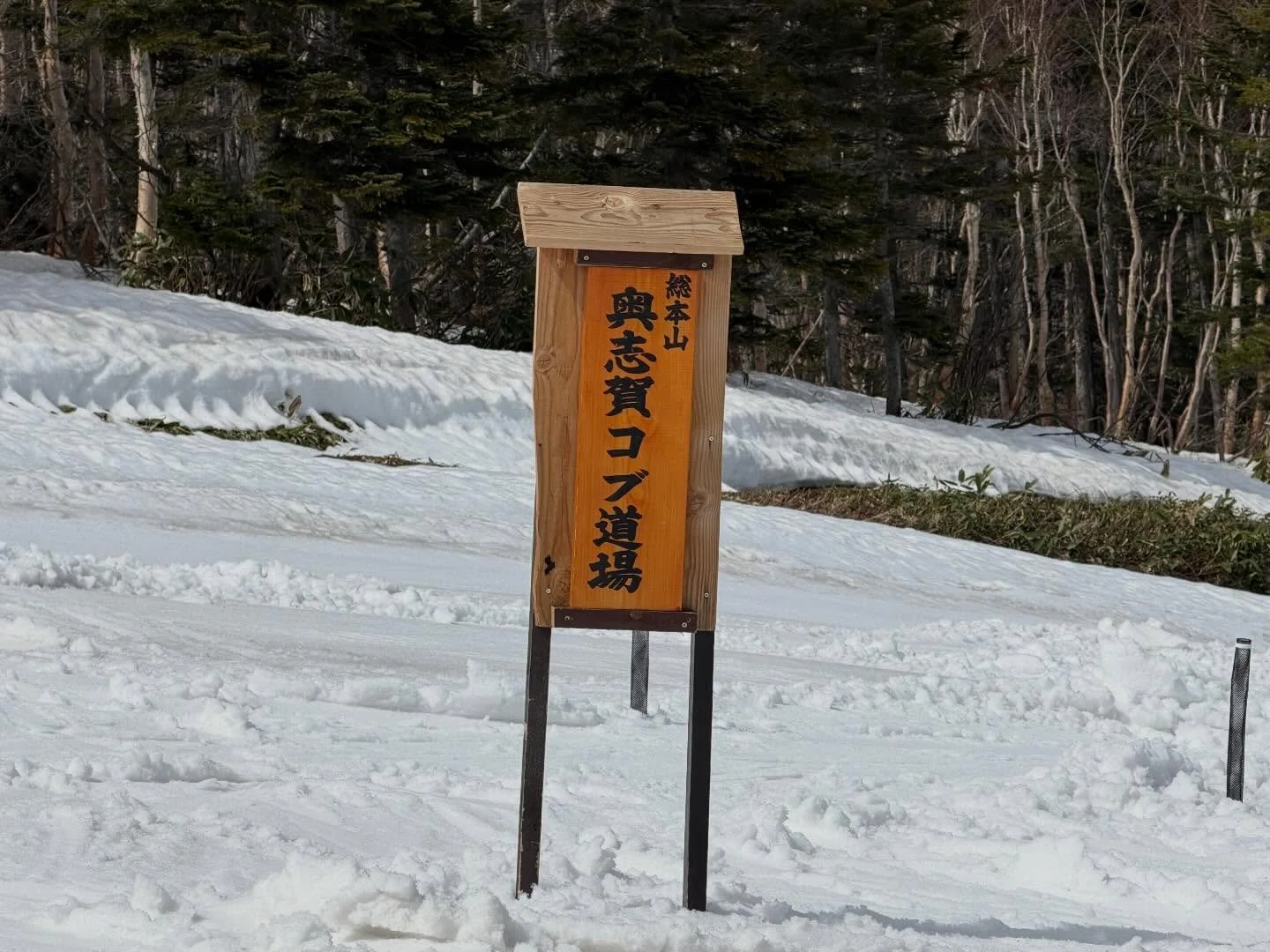 🏔️コブ、仕上がってきています。

現在、奥志賀高原スキー場では 
第4ゲレンデのコブ道場を中心に、 
各所でコブラインが楽しめるコンディションになっています⛷️

春の雪に合わせて育てられたラインは、 
滑りやすさと練習しやすさのバランスがとても良い状態です👍

朝は締まって快適に、 
日中はやわらかくなり、春らしいフィーリングに。

整備されたコブでしっかり練習するも良し、 
ラインを選びながら自由に楽しむも良し。

この時期ならではの奥志賀を、
ぜひお楽しみ下さい。

ご宿泊とあわせて