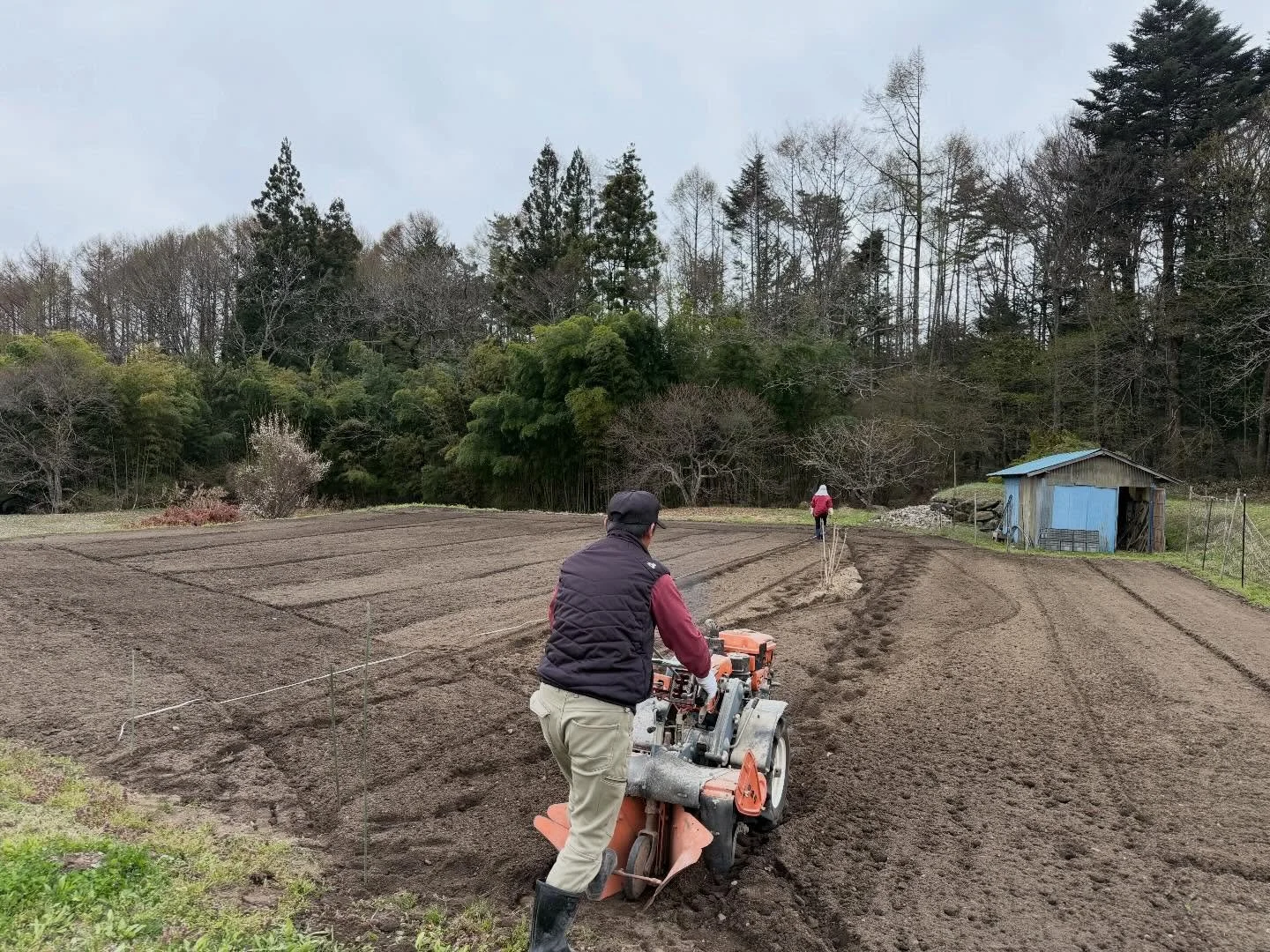 【幸の湯のじゃがいも成長記🥔①】

先日、じゃがいもを植えました。

ちゃんと芽が出るのかドキドキしながら過ごしていましたが&hellip; 
ばっちり芽が出ました🌱✨ 
小さな芽に、思わずほっと一安心☺️

今回植えたのは「キタアカリ」と「メイクイーン」の2種類。 
それぞれどんなふうに育っていくのか、
今から楽しみです☺️

ここから収穫まで、
成長の様子をお届けしていきます📸

収穫までの成長をぜひ見守ってください😌✨

志賀高原幸の湯への
ご予約はプロフィールのリンクから🔗

