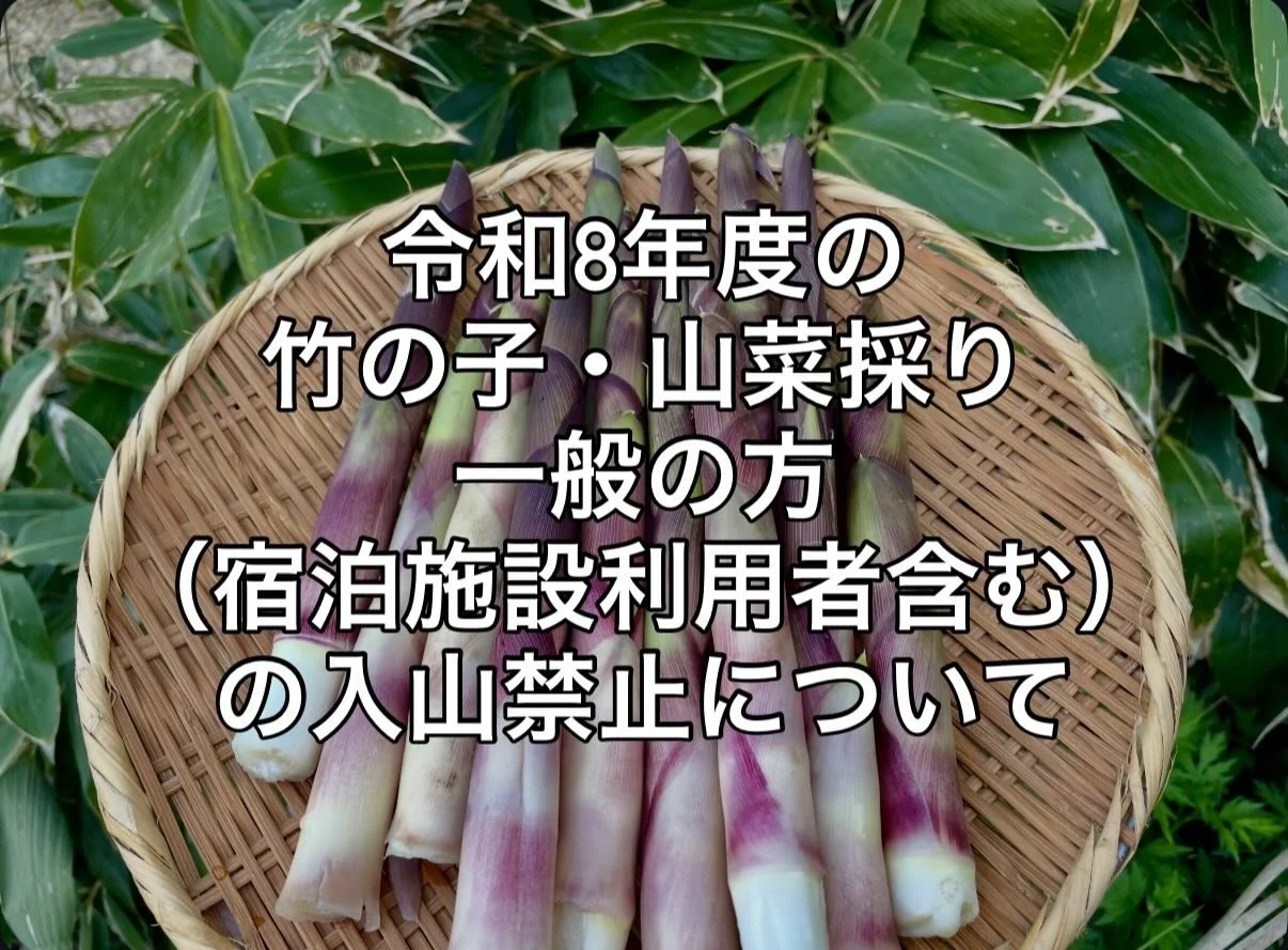 ⚠️2026年 志賀高原 竹の子・山菜狩りについてのお知らせ🌿

初夏の志賀高原の味覚といえば、
根曲がり竹（竹の子）

サバ缶と合わせた竹の子汁は、
地元では昔から愛される季節のごちそうです✨

ですが今年2026年は、
自然環境保全のため
一般の方（宿泊のお客様含む）の
竹の子・山菜採りを伴う入山が禁止となっております。

志賀高原は国立公園内に位置し、
貴重な自然や生態系が守られている特別な場所。

未来へこの自然を残していくため、
ご理解・ご協力をお願いいたします🌱

なお、志賀高原