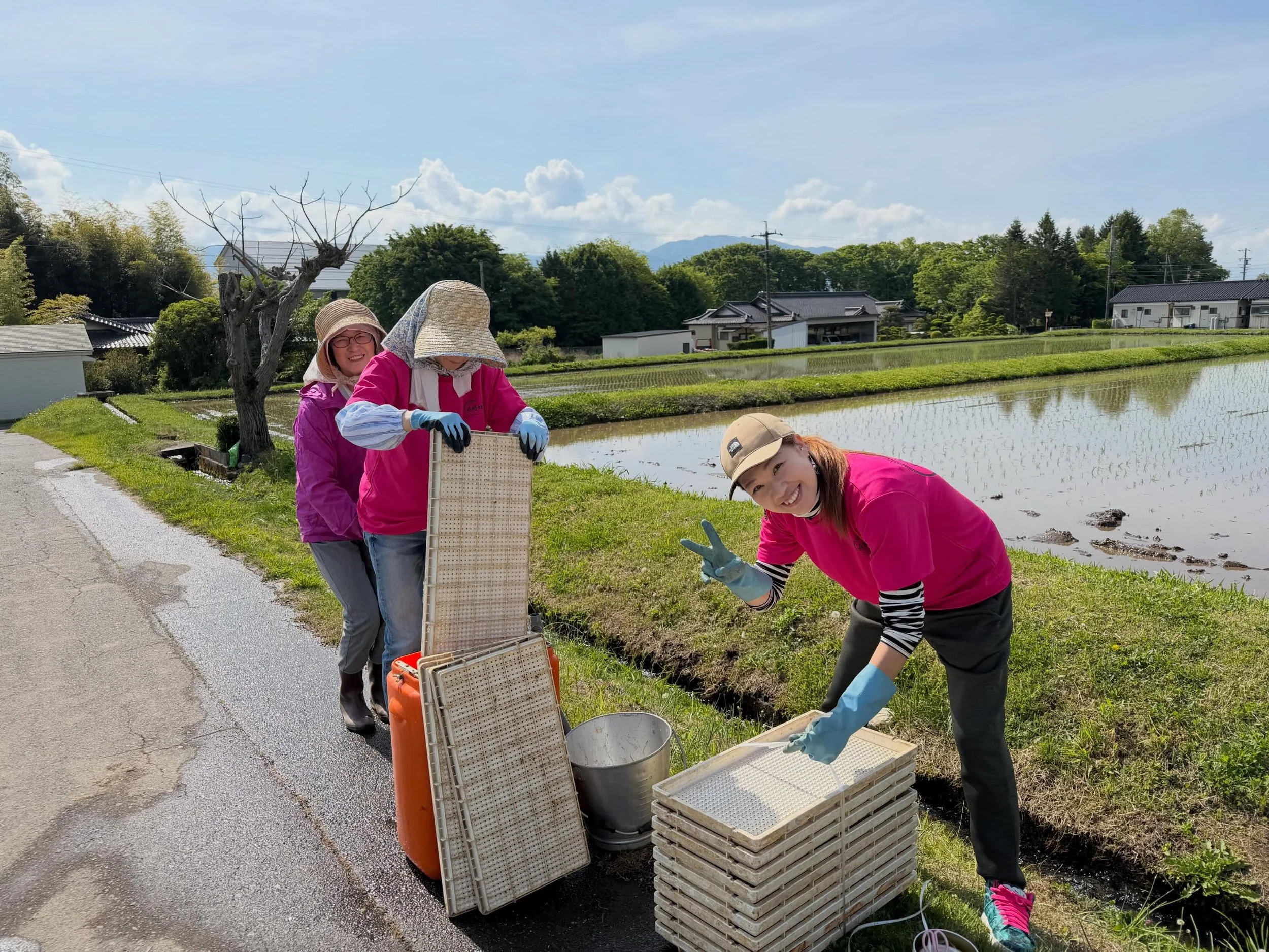 🍚幸の湯のお米ができるまで〜苗箱洗い🌾

田植え後の苗箱には、泥や根がぎっしり。
そのままにすると、次の育苗で病気やカビの原因になることも&hellip;
泥や根が残った苗箱を、
手動式育苗洗浄機で一枚ずつきれいに洗っていきます🙌

手動式なので使用場所を選ばず、
用水でも使用可能でタンクに水をためて、
ラクラク洗浄✨

田植えの後の大切な作業を、
しっかり支えてくれる頼もしい相棒です👍

子どもたちが親の姿を見ながらお手伝い😊✨

お米を作ることに触れ、
自然と受け継がれていく農の風