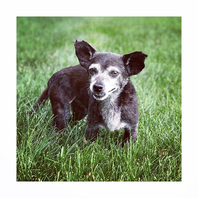 Farewell, old friend. We had 12 wonderful years together 🌈 5.31.19