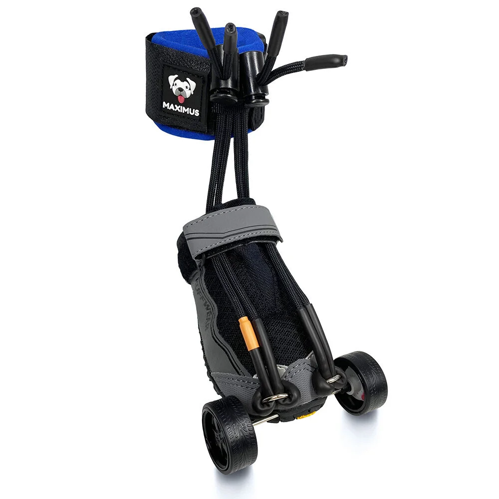 Maximus Skates SuperFlex
