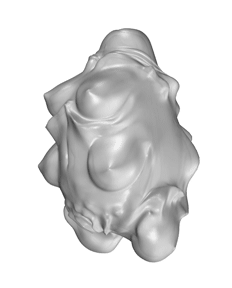 Untitled-6_gray.gif