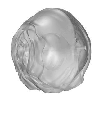 untitled-8_Gray.gif