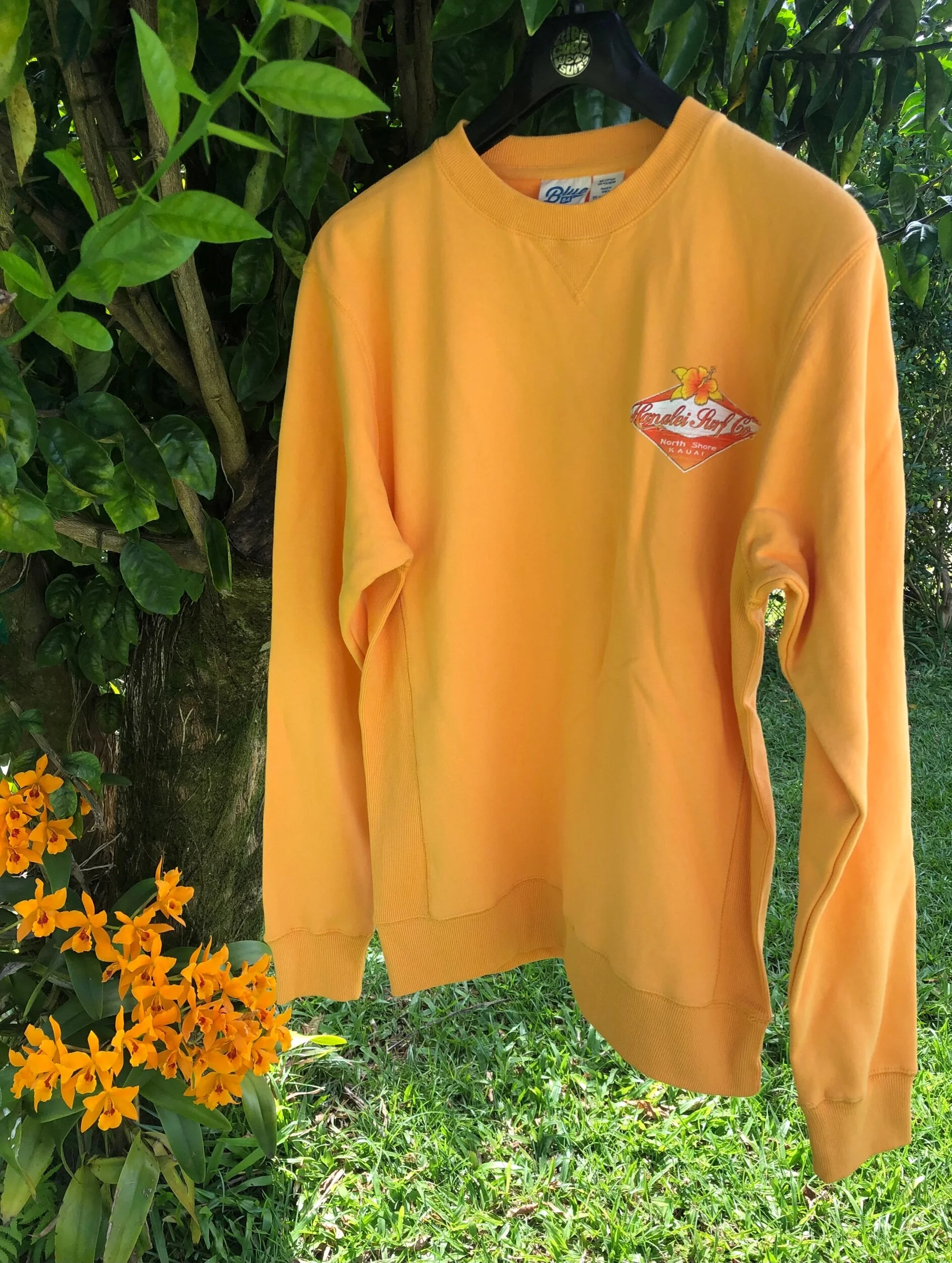 8038621C-B622-4B99-B094-611F73AD2436