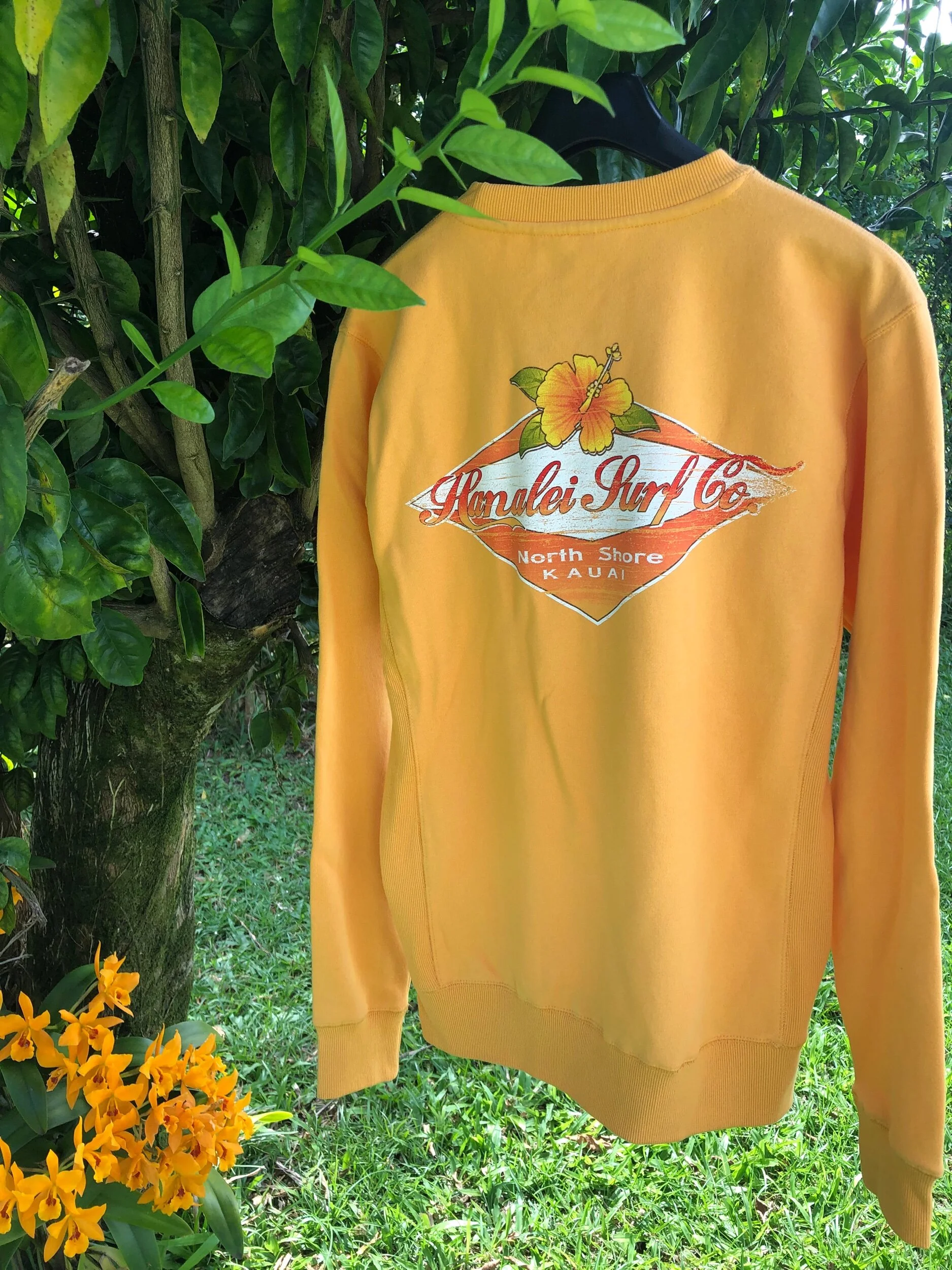 FA69F27E-A8A8-4E1E-8213-CD82EDA14636